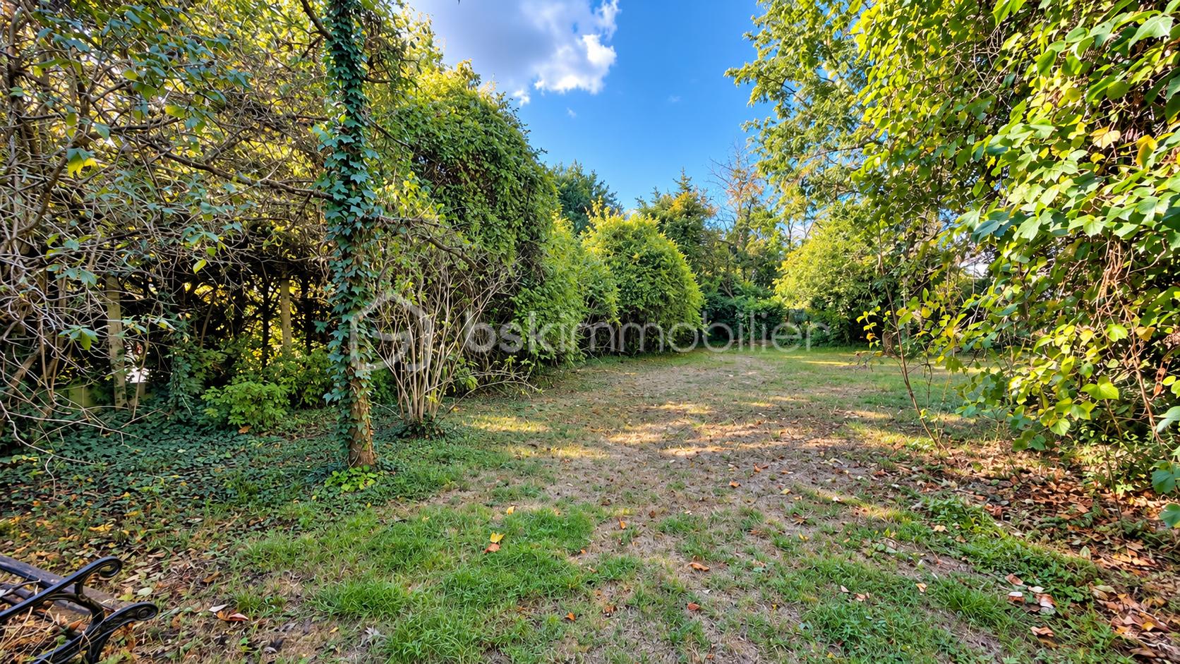 Clairière verdoyante dans un jardin ombragé.png
