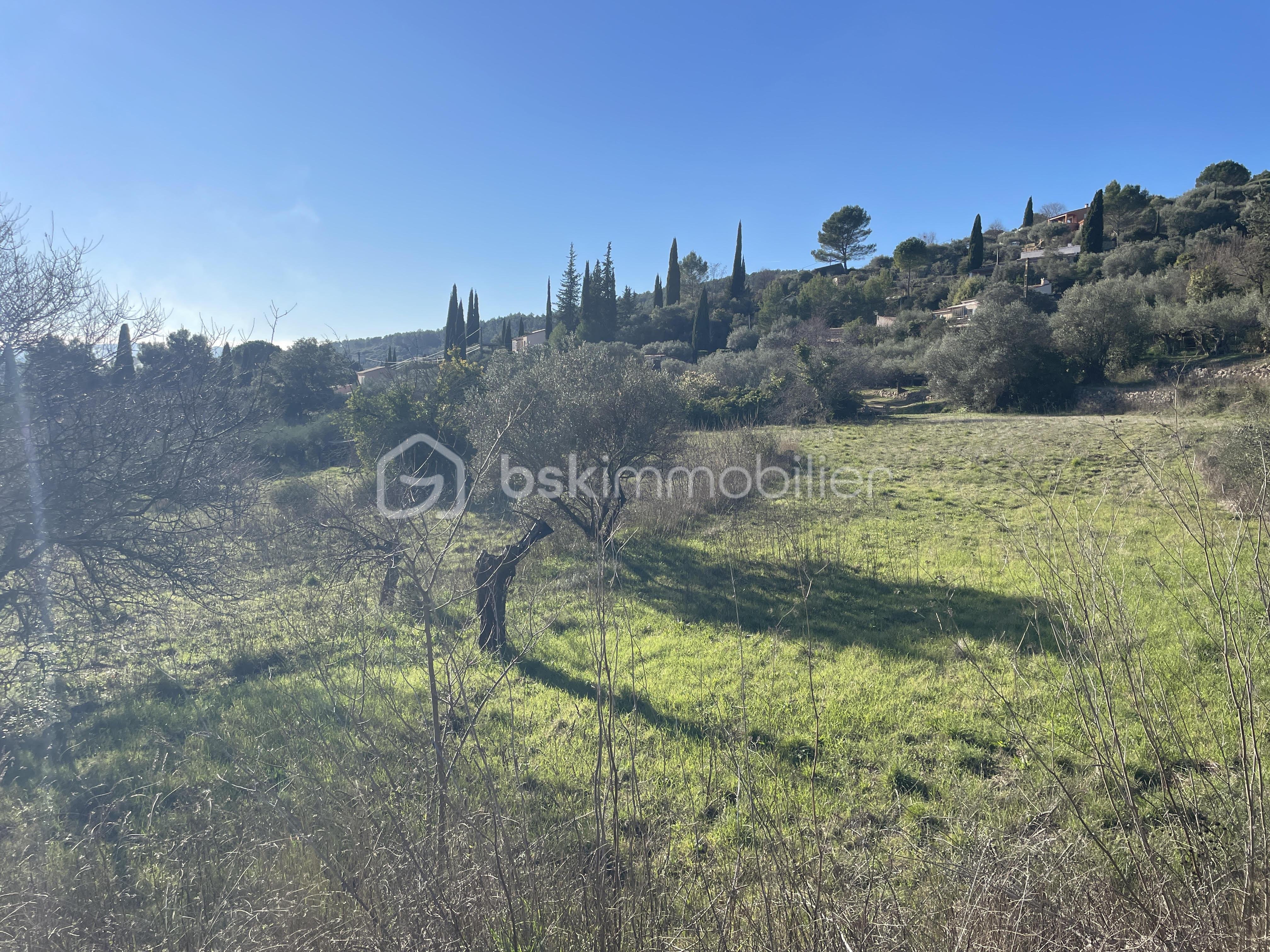 Terrain de 4 225 m² - 2.jpg