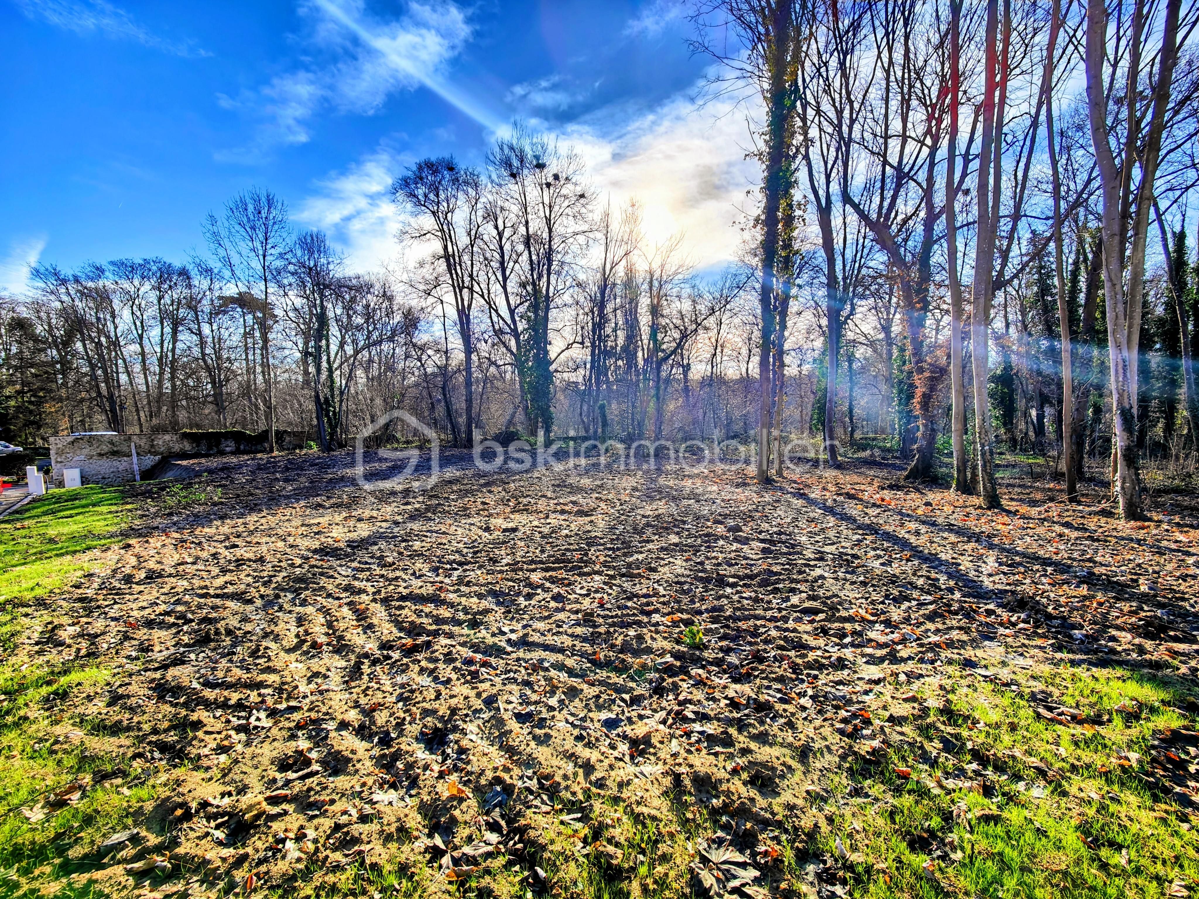 Terrain de 1 137 m² - IMG20260113113849~2.jpg