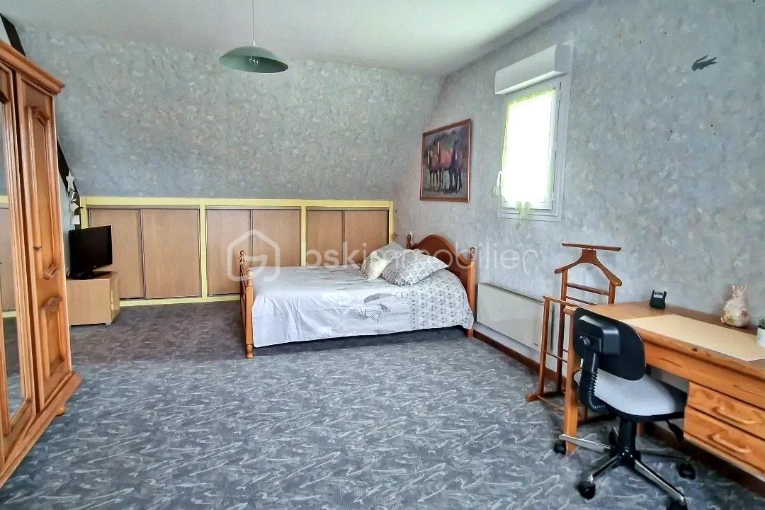 3.jpeg