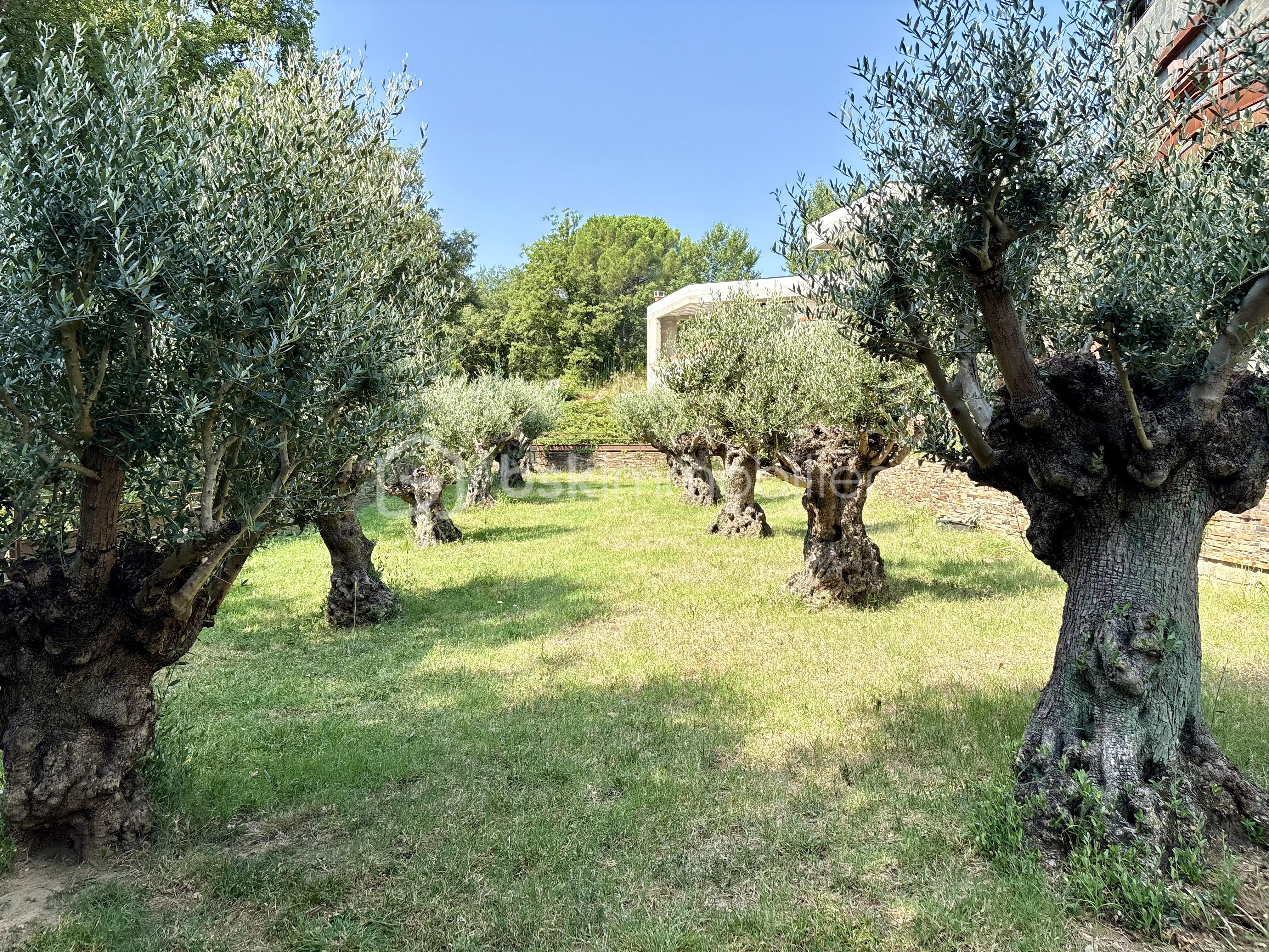 Villa de 350 m² - image00018.jpeg