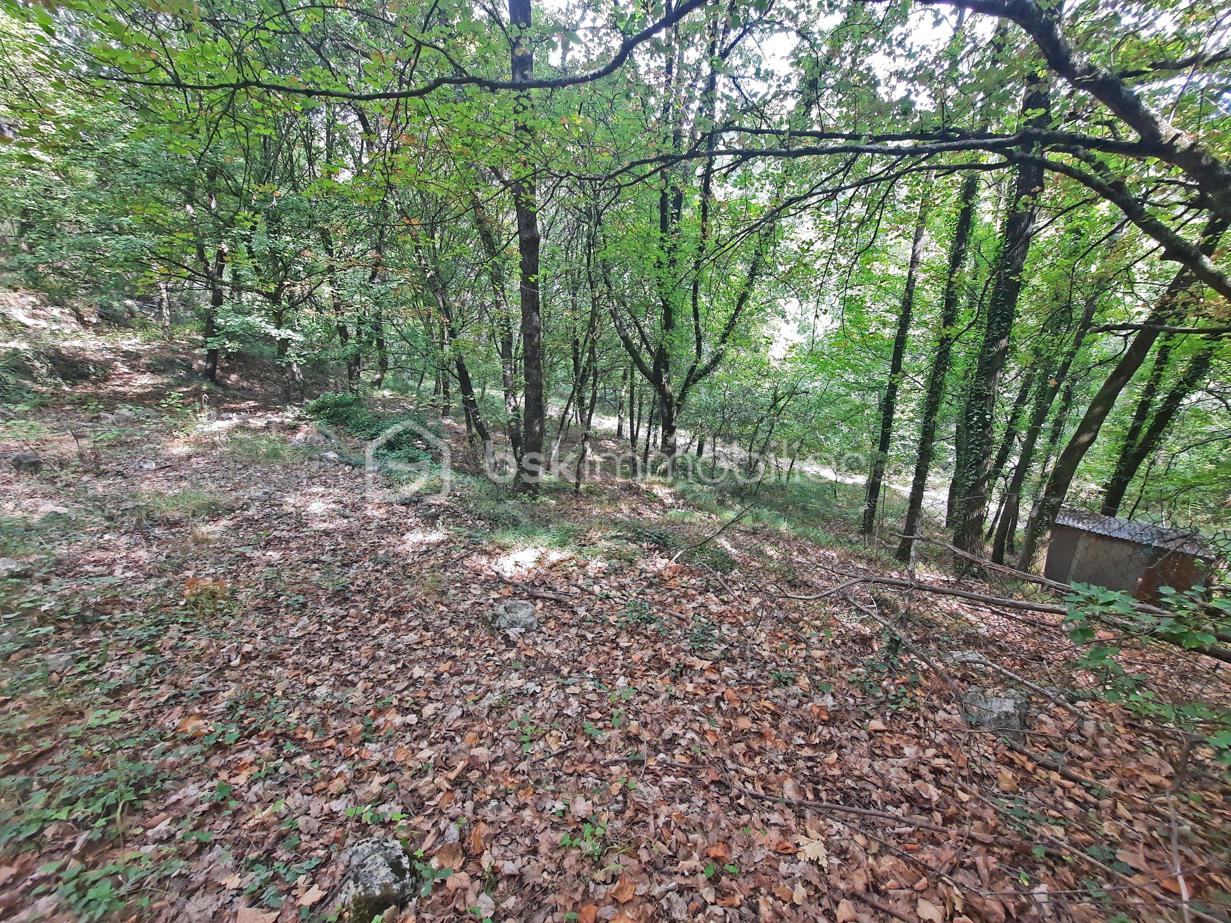 terrain à vendre FAYENCE avec source, restanques bois proche centre-ville et commerces.jpg