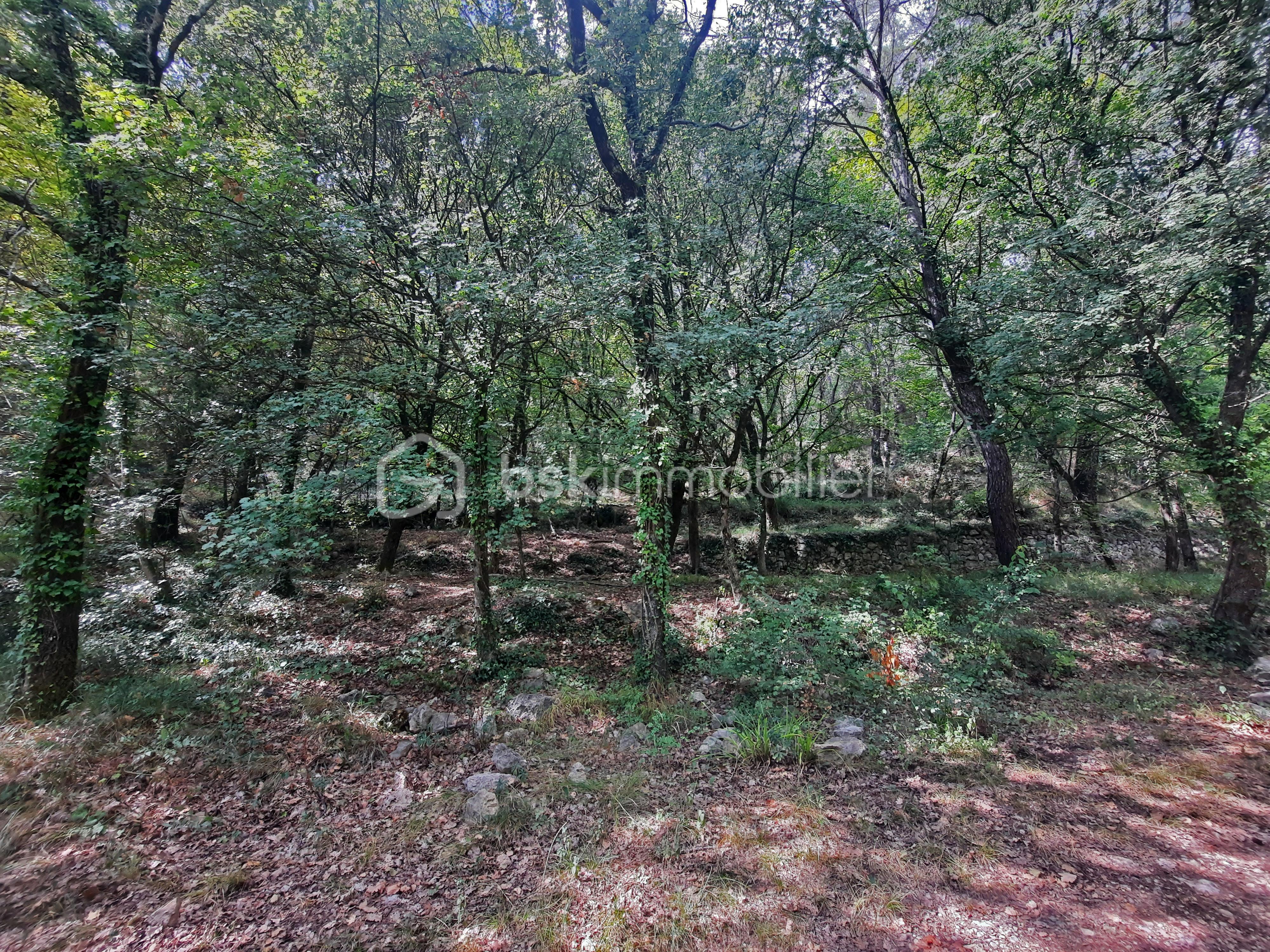 terrain à vendre proche super U FAYENCE avec source, restanques bois proche village centre-ville et commerces.jpg