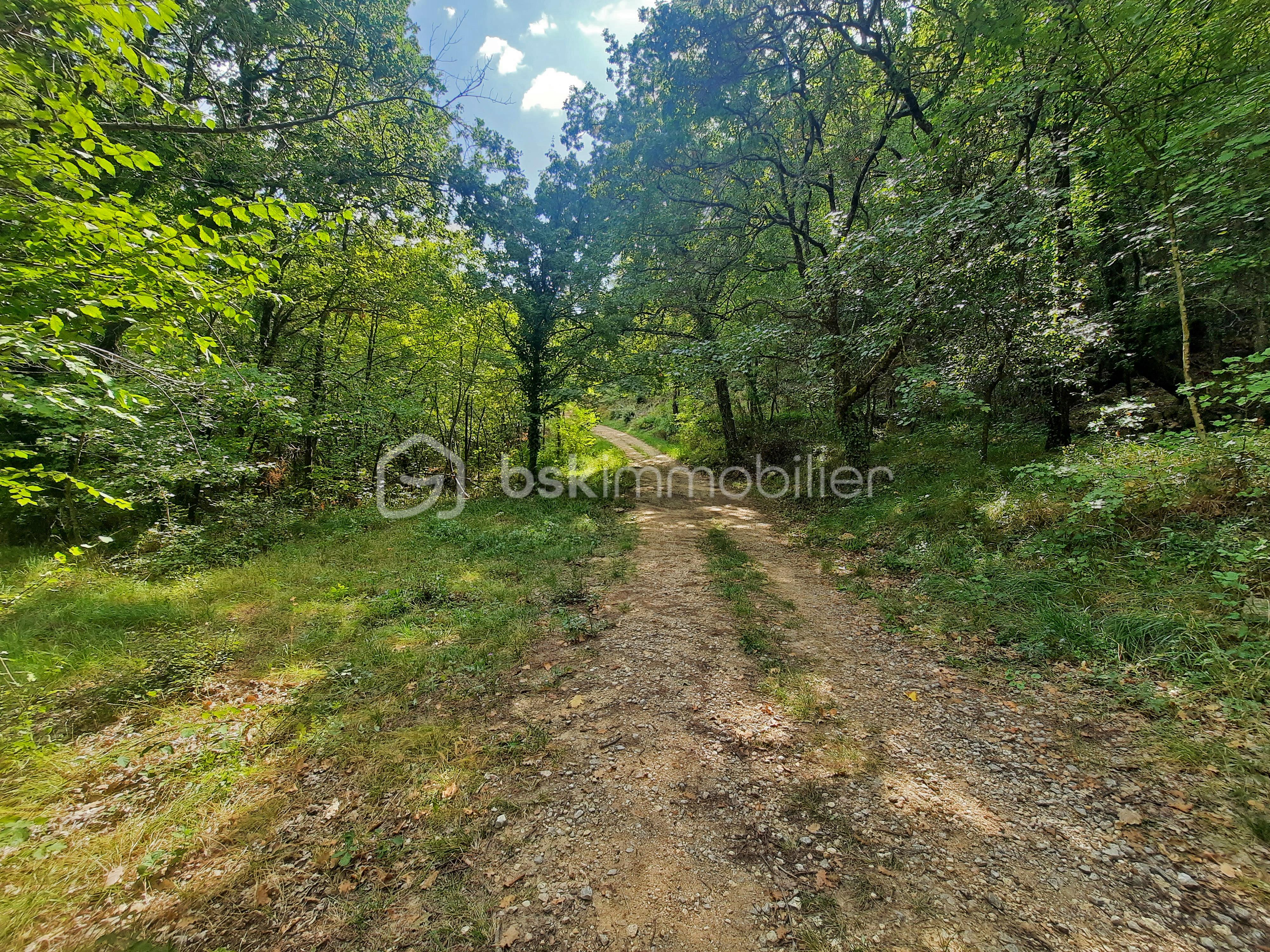 terrain à vendre FAYENCE avec source, restanques bois proche village centre-ville et commerces.jpg