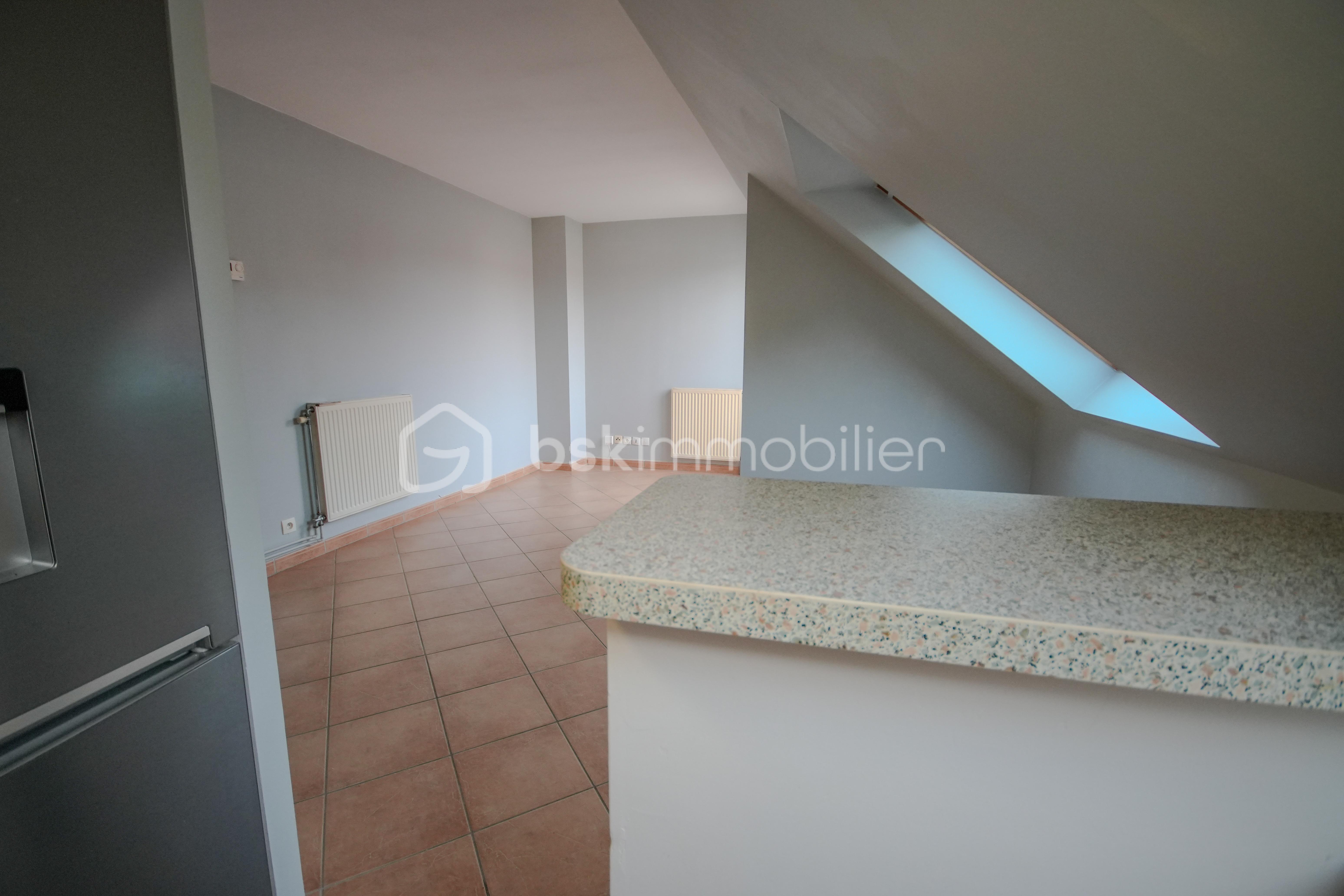 Appartement de 45 m² - DSC02733.jpeg