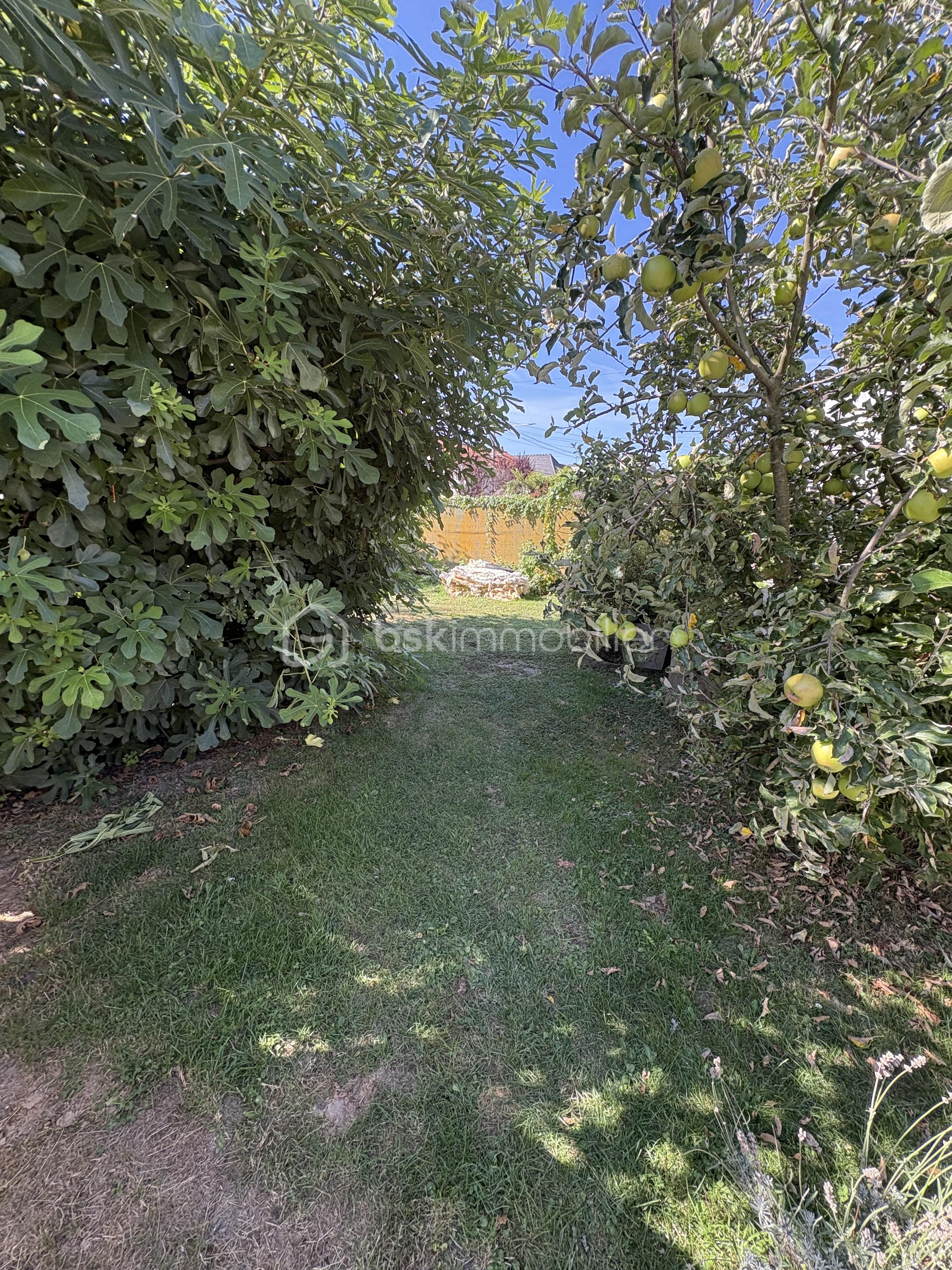 Maison de 155 m² - jardin 1.jpeg