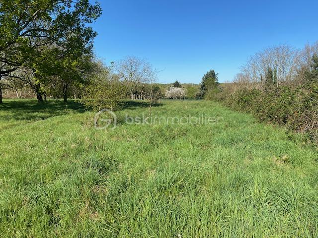 Lotissement de 1 936 m² à Fontenay-Sur-Loing · 936 m² · 45 000 €