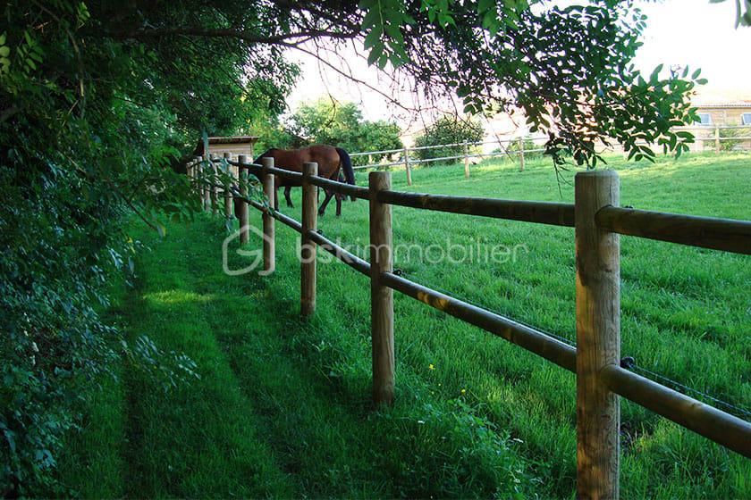 cloture-rondin-bois-double-lisse.jpg