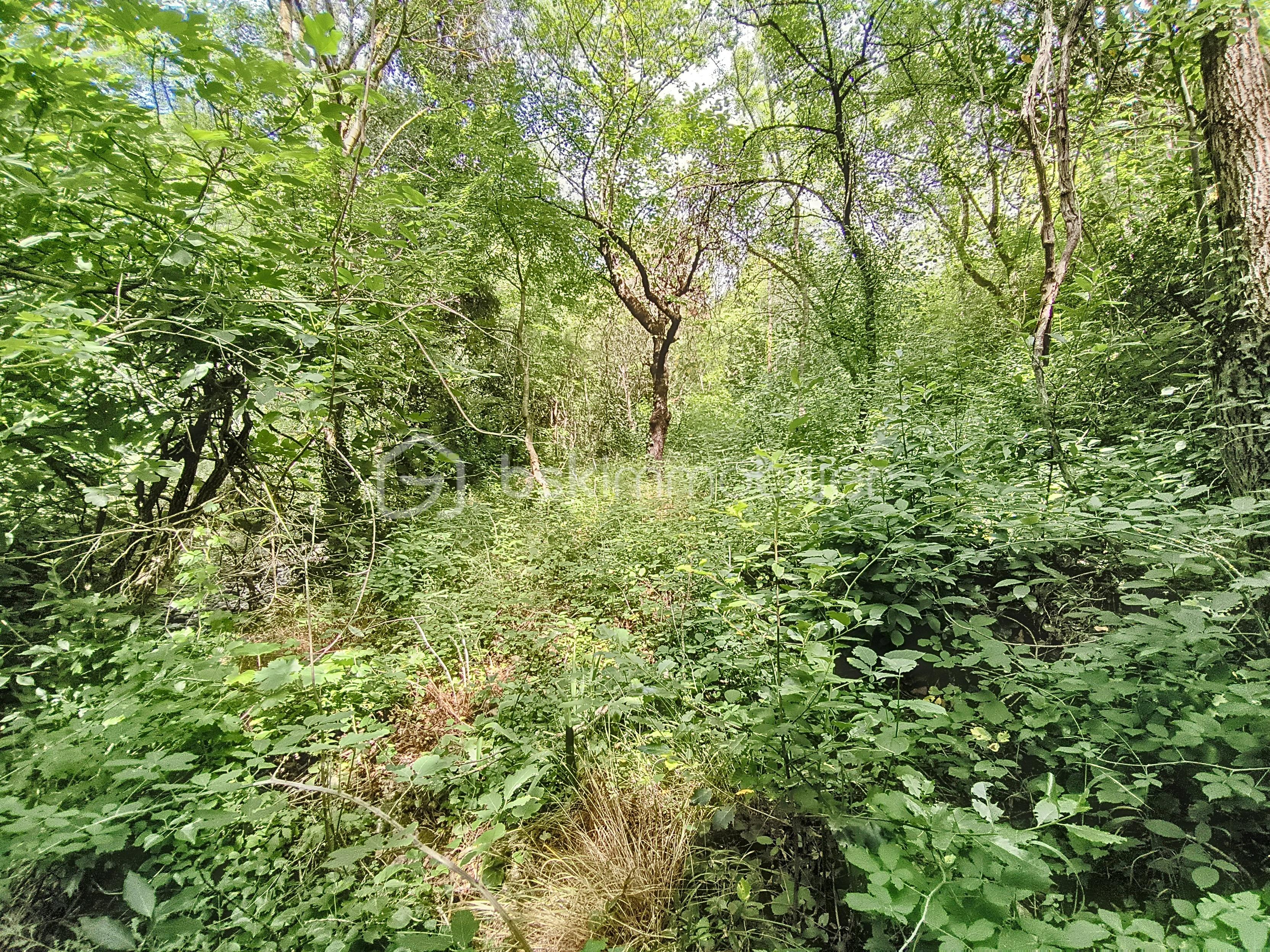 riviere-stephane_000058.jpg