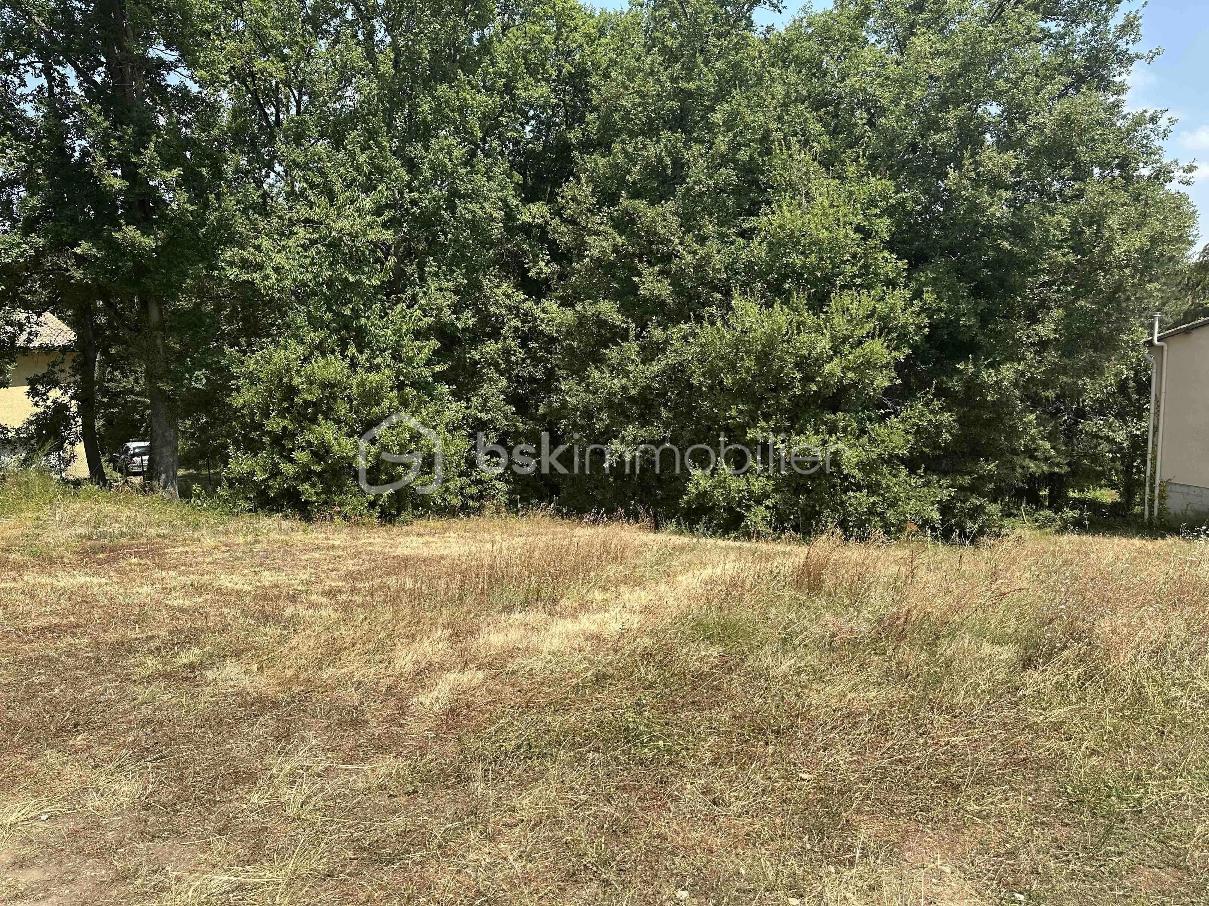 Terrain de 2 135 m² - IMG_4096.jpg