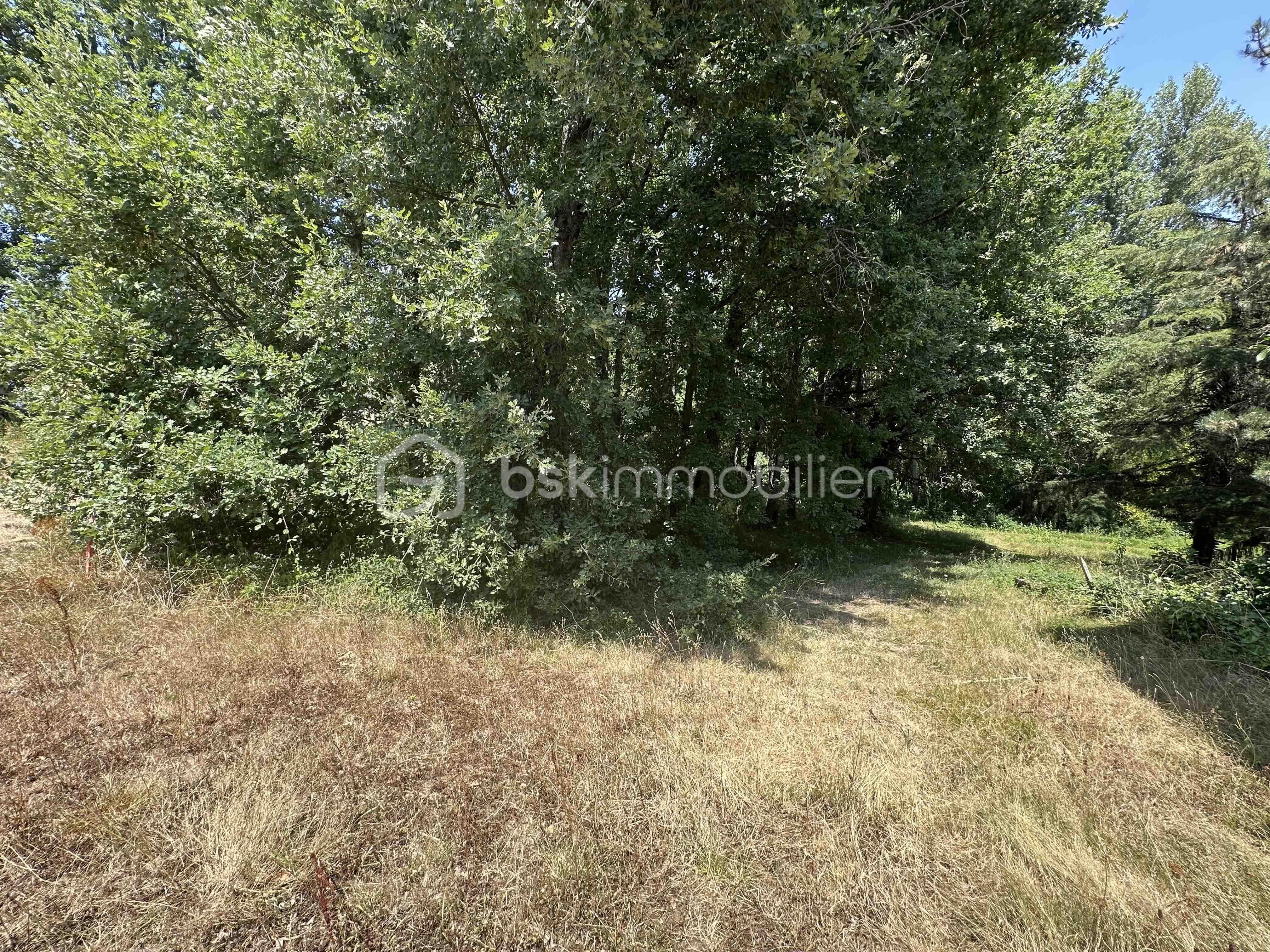 Terrain de 2 135 m² - IMG_4111.jpg