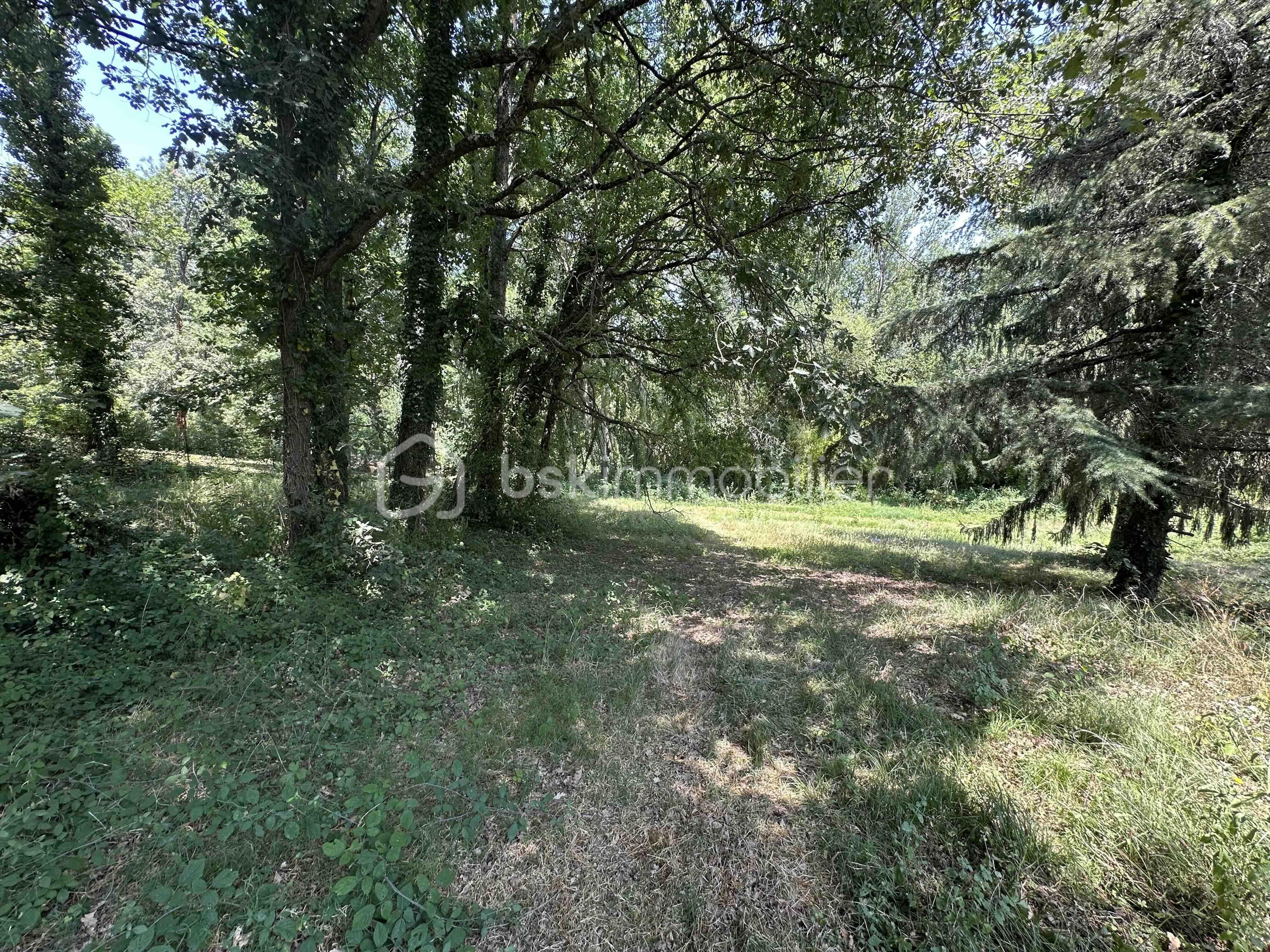 Terrain de 2 135 m² - IMG_4120.jpg
