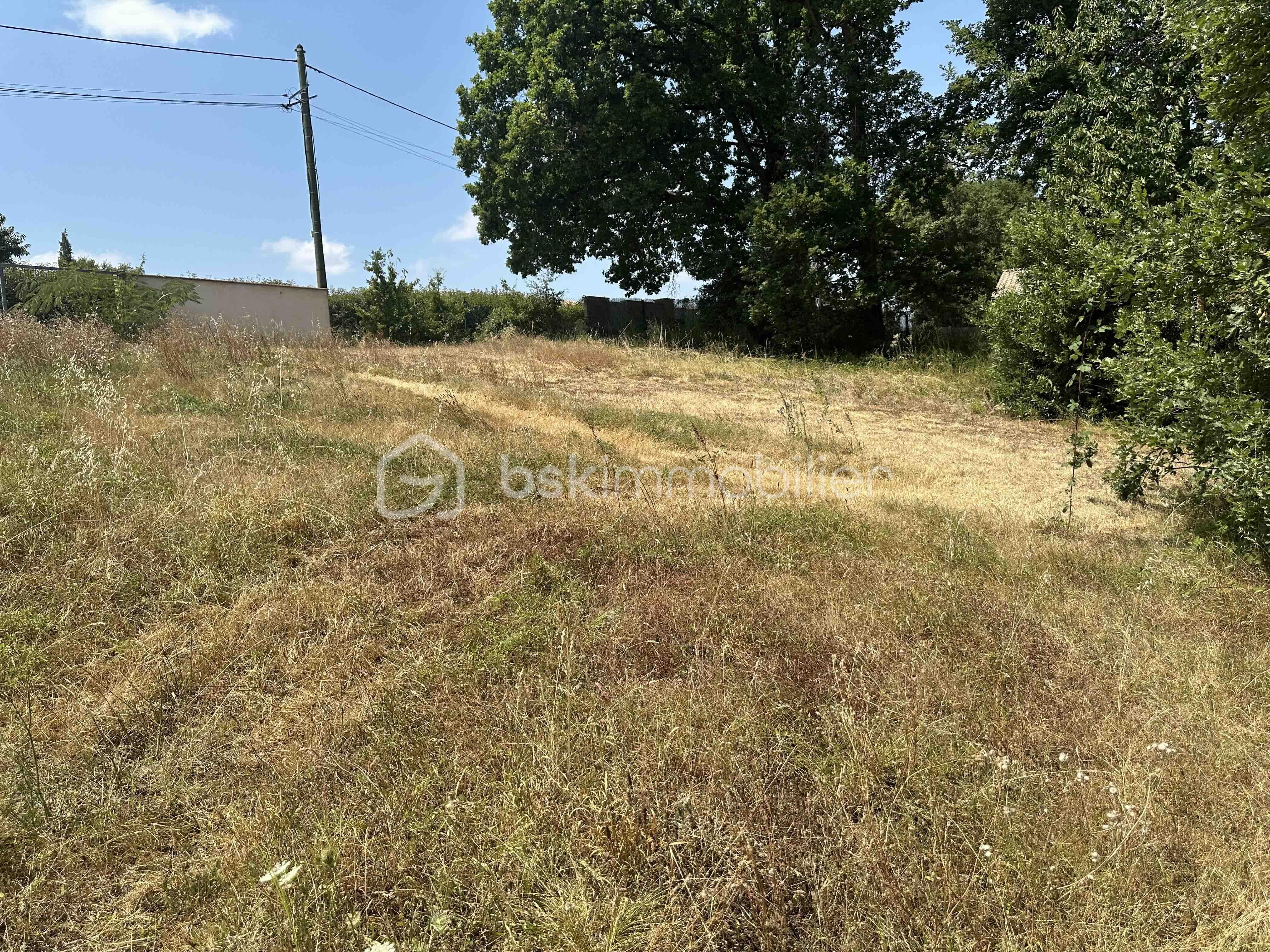Terrain de 2 135 m² - IMG_4107.jpg