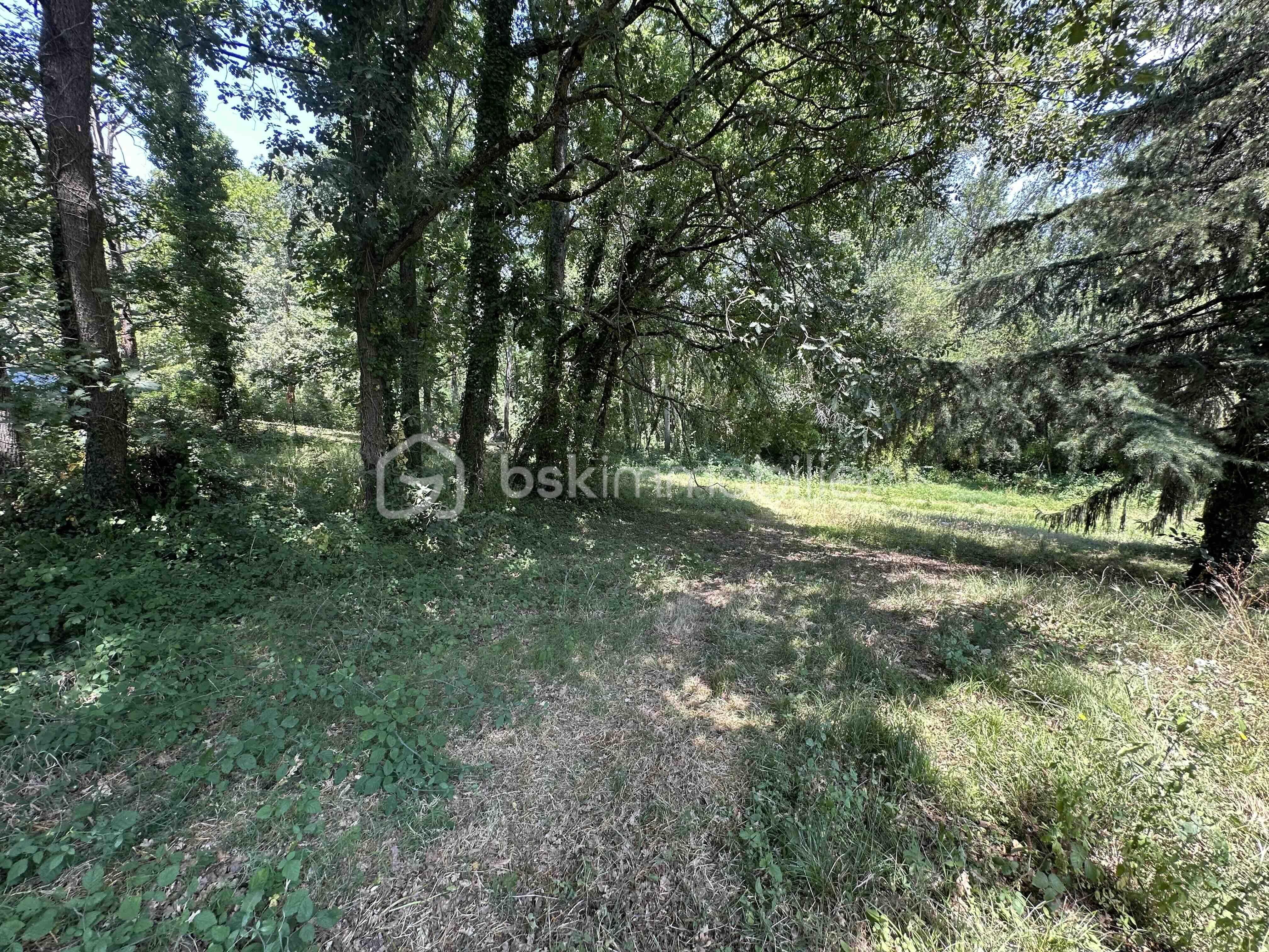 Terrain de 2 135 m² - IMG_4118.jpg