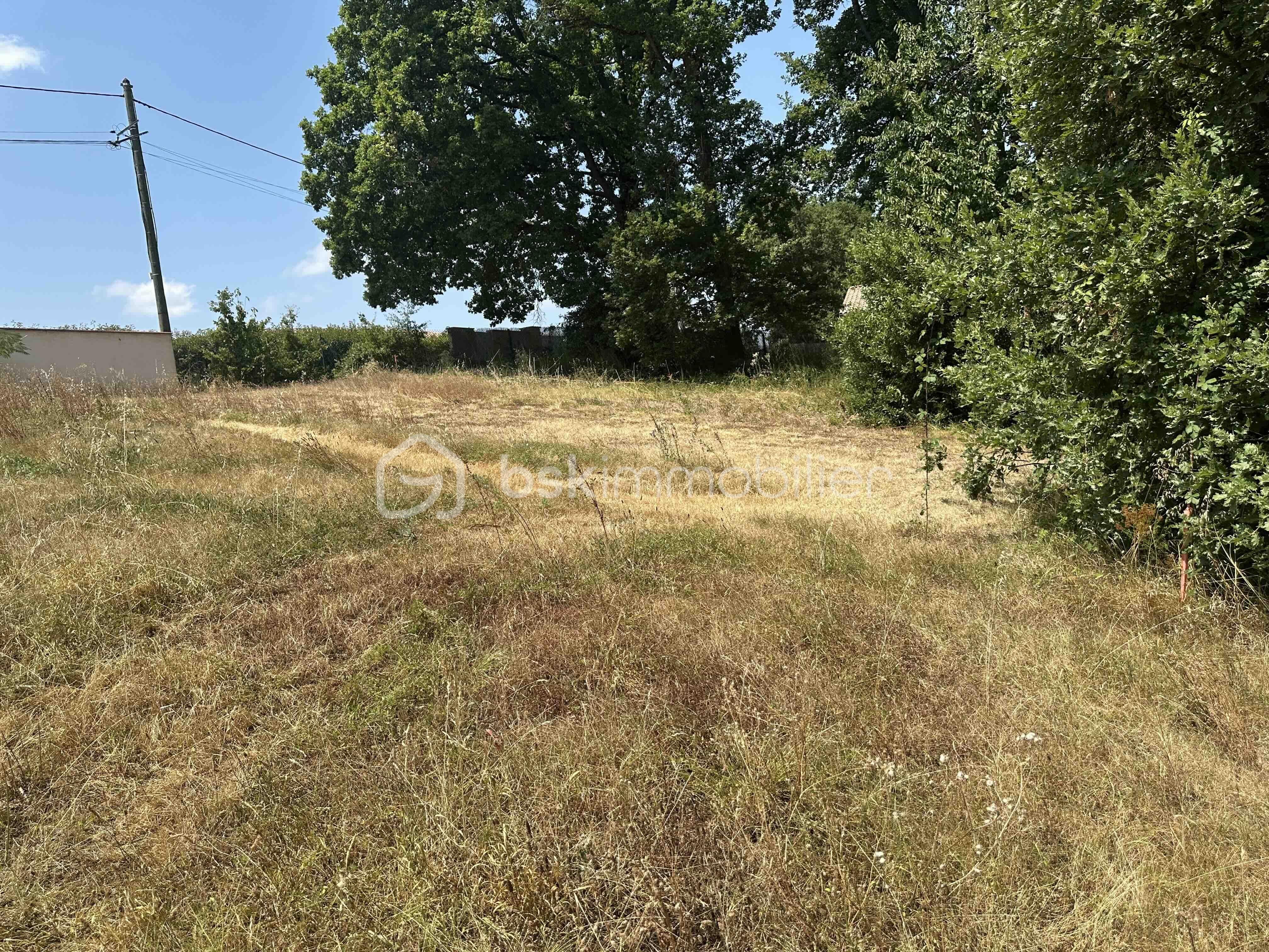 Terrain de 2 135 m² - IMG_4106.jpg