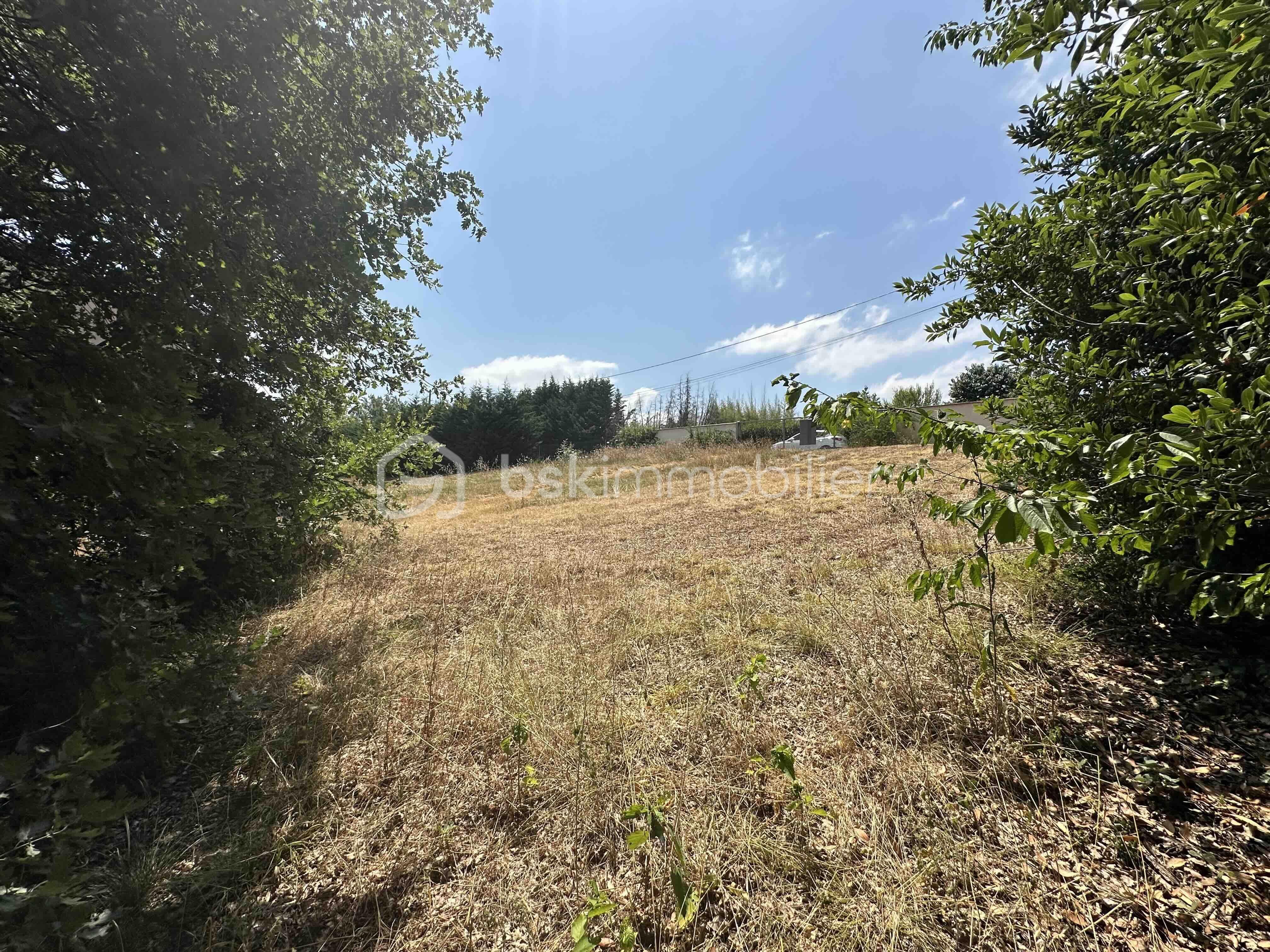 Terrain de 2 135 m² - IMG_4128.jpg