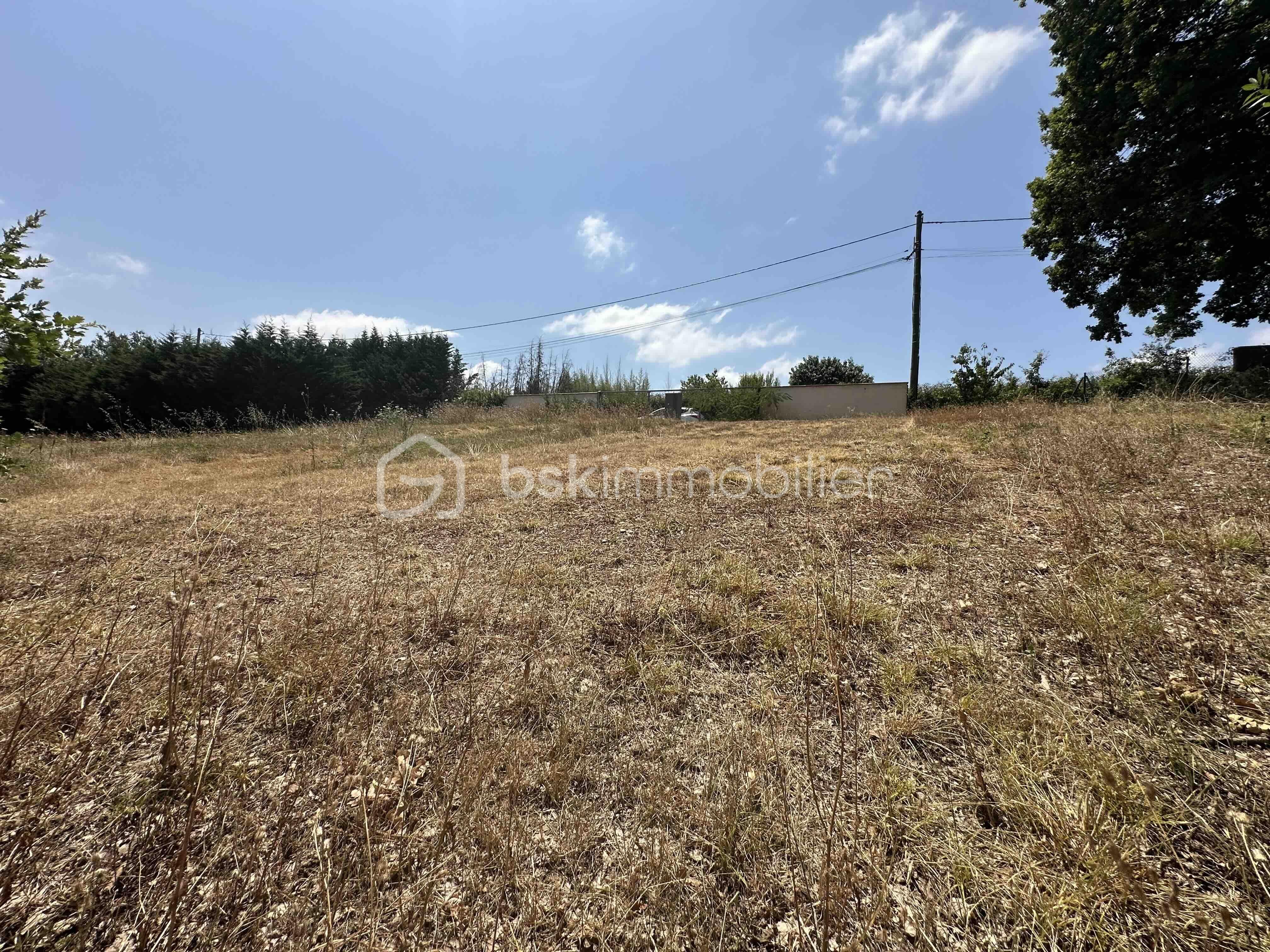 Terrain de 2 135 m² - IMG_4131.jpg