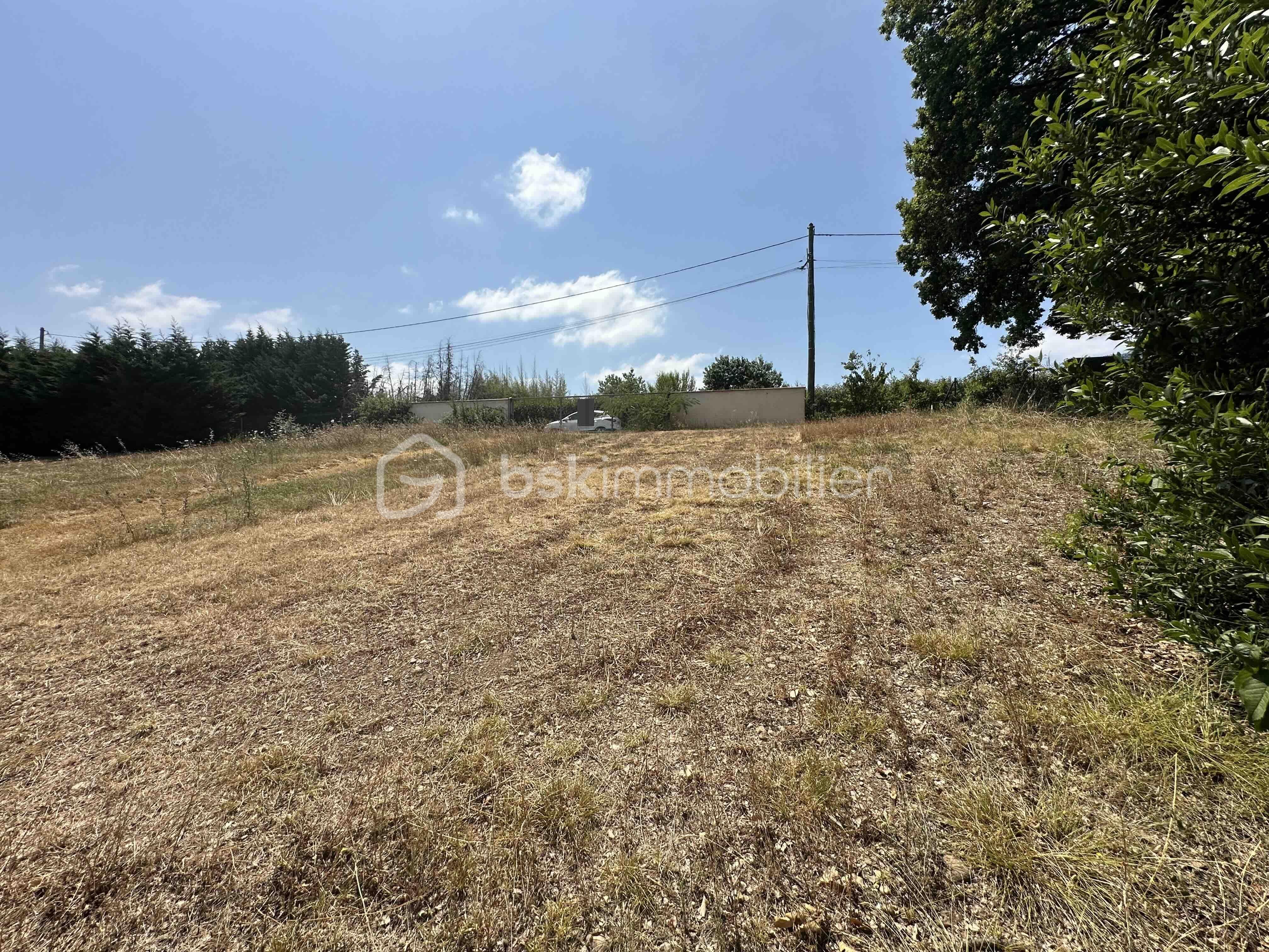 Terrain de 2 135 m² - IMG_4141.jpg