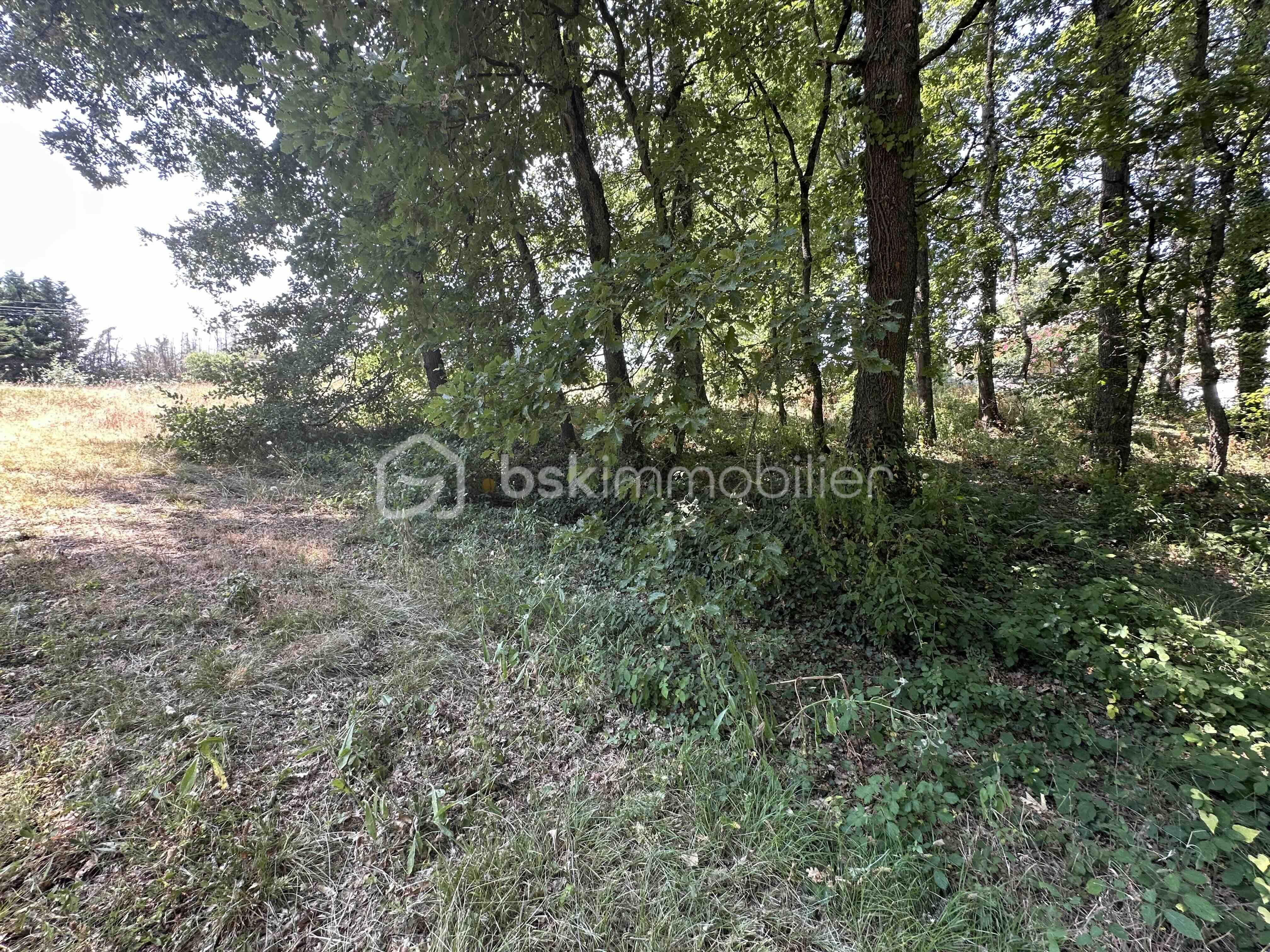 Terrain de 2 135 m² - IMG_4119.jpg
