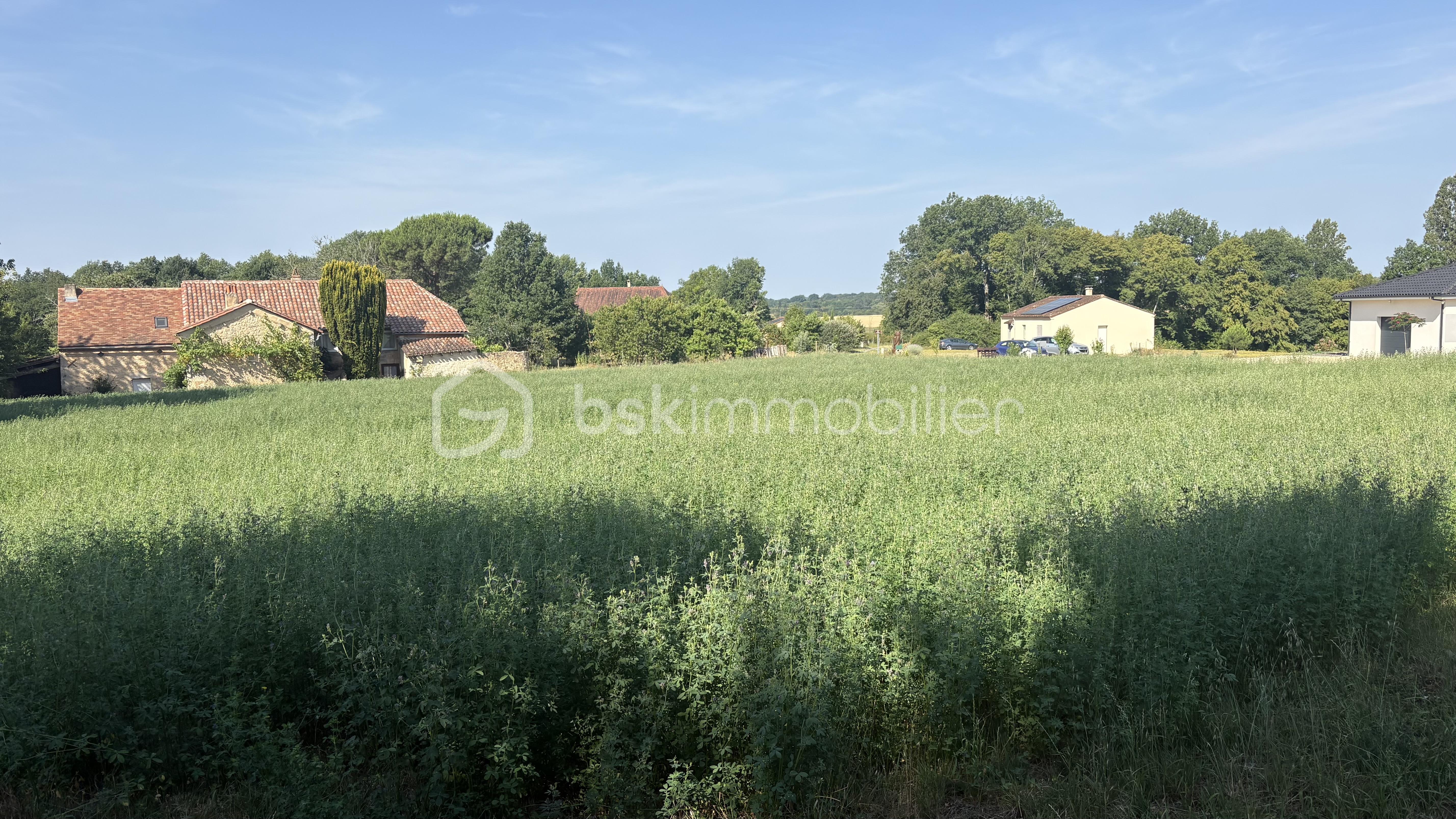 IMG_6596.jpeg