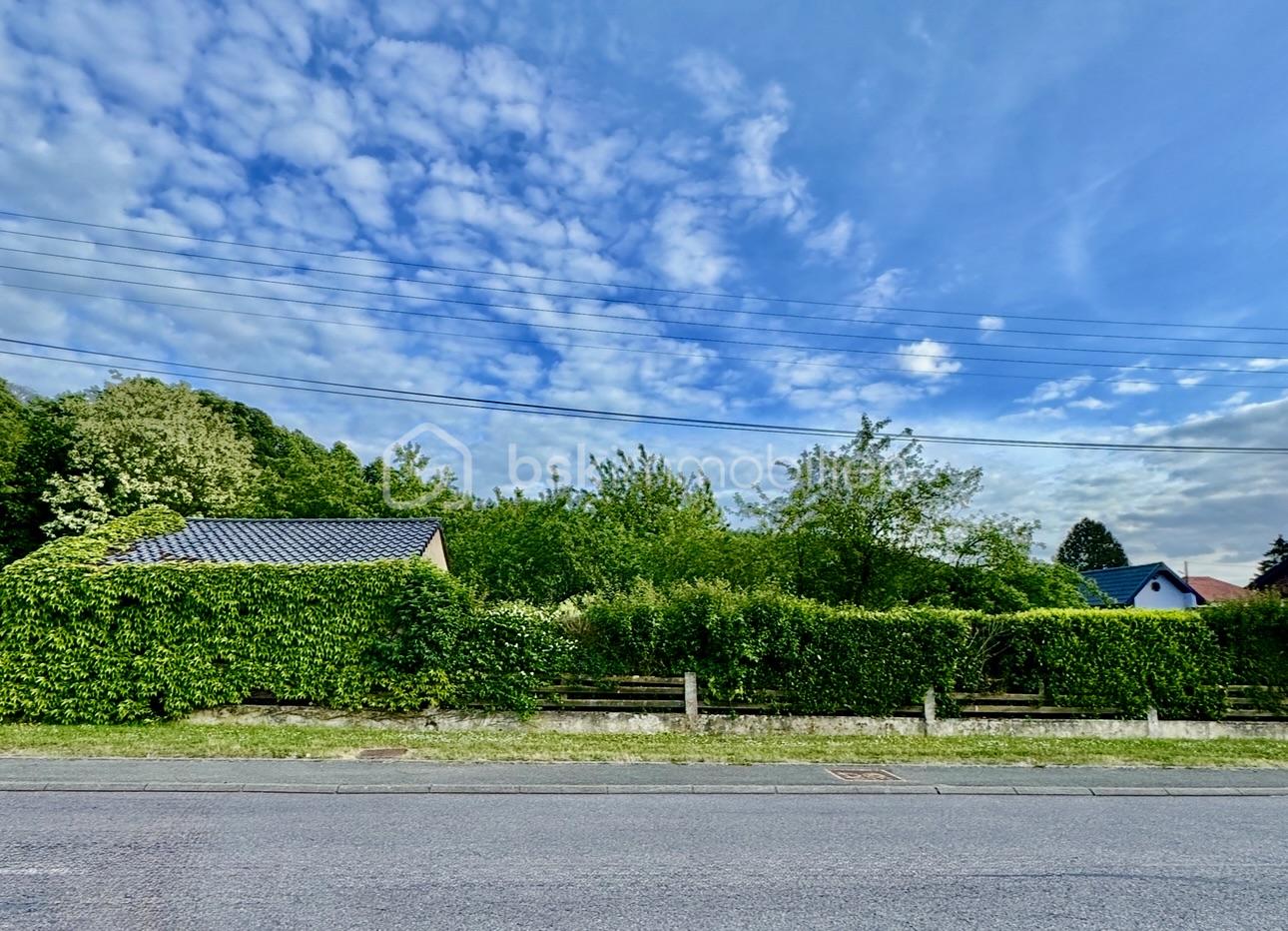 Terrain de 1 000 m² - IMG_6432.jpeg