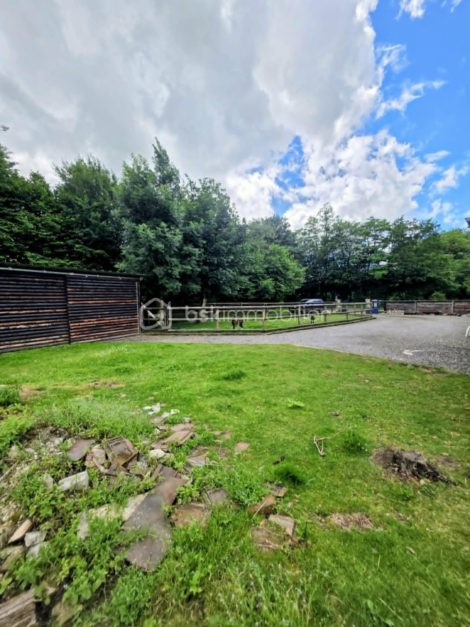 09baf515-f6ff-47de-9cee-bd7a8f61b331.jpg