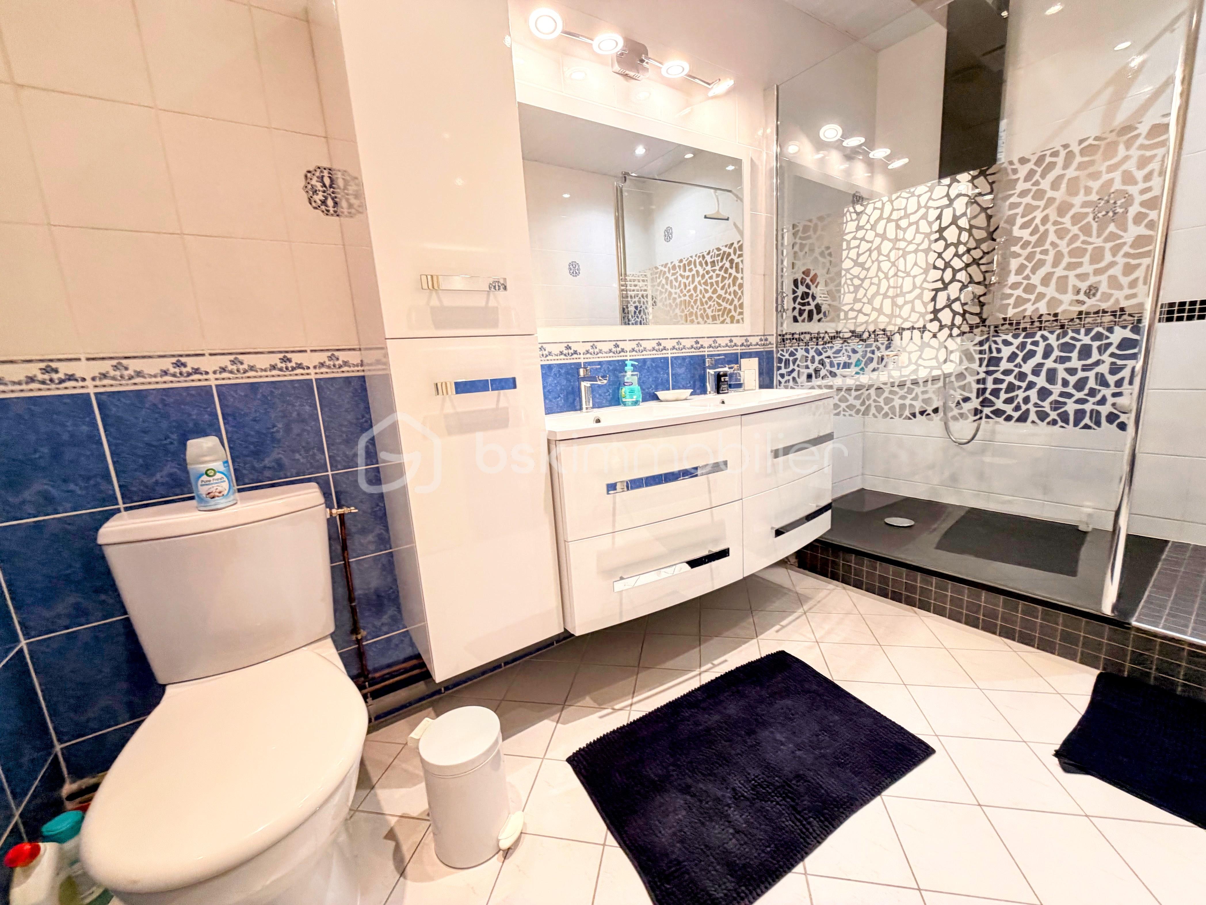 Maison de 289,10 m² - IMG_0491-EDIT.jpg