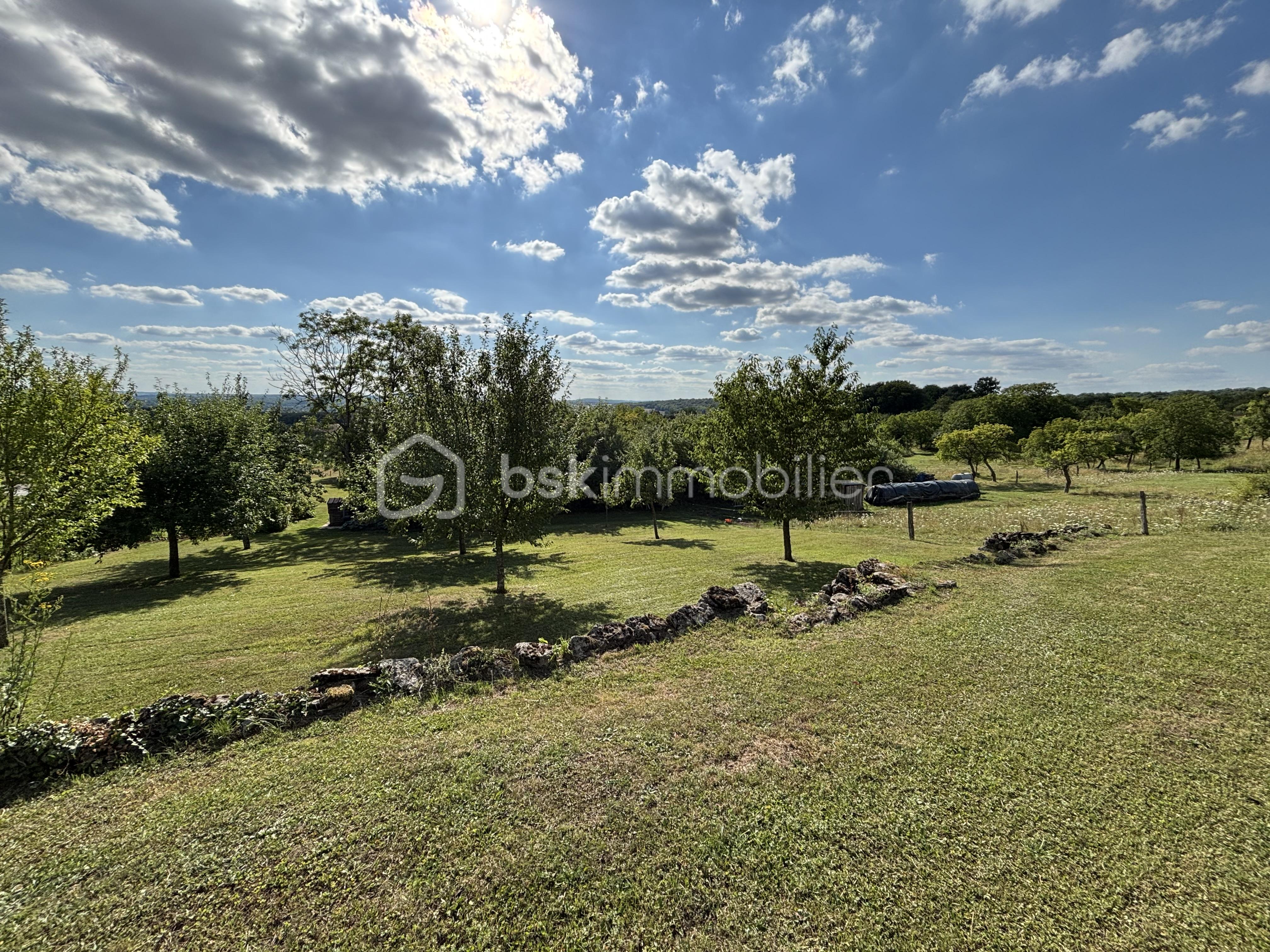 39-Terrains en option.jpeg