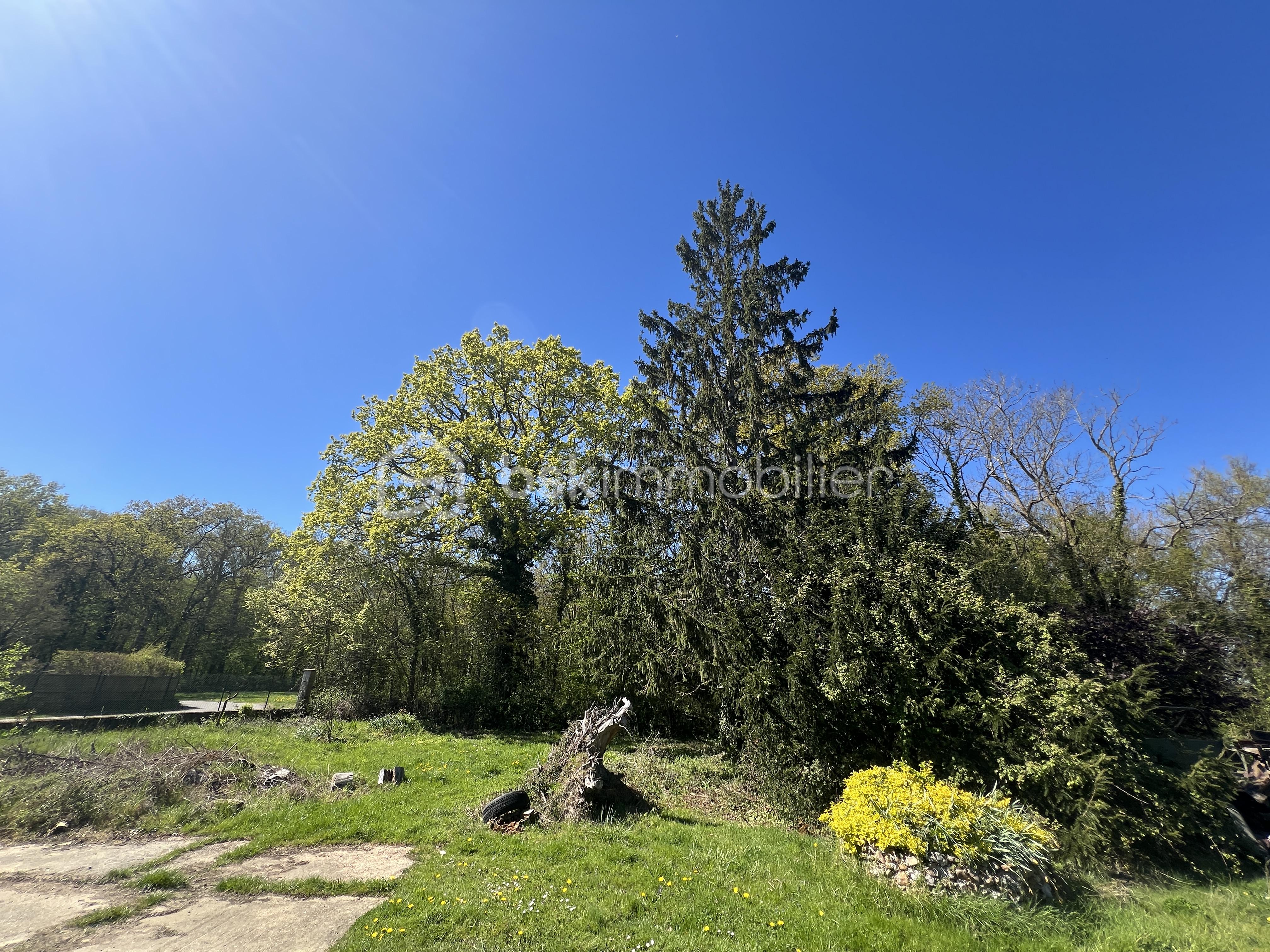 NICOLAS VAN DE WALLE BSKIMMOBILIER MAISON DE GILLES. 15.JPG