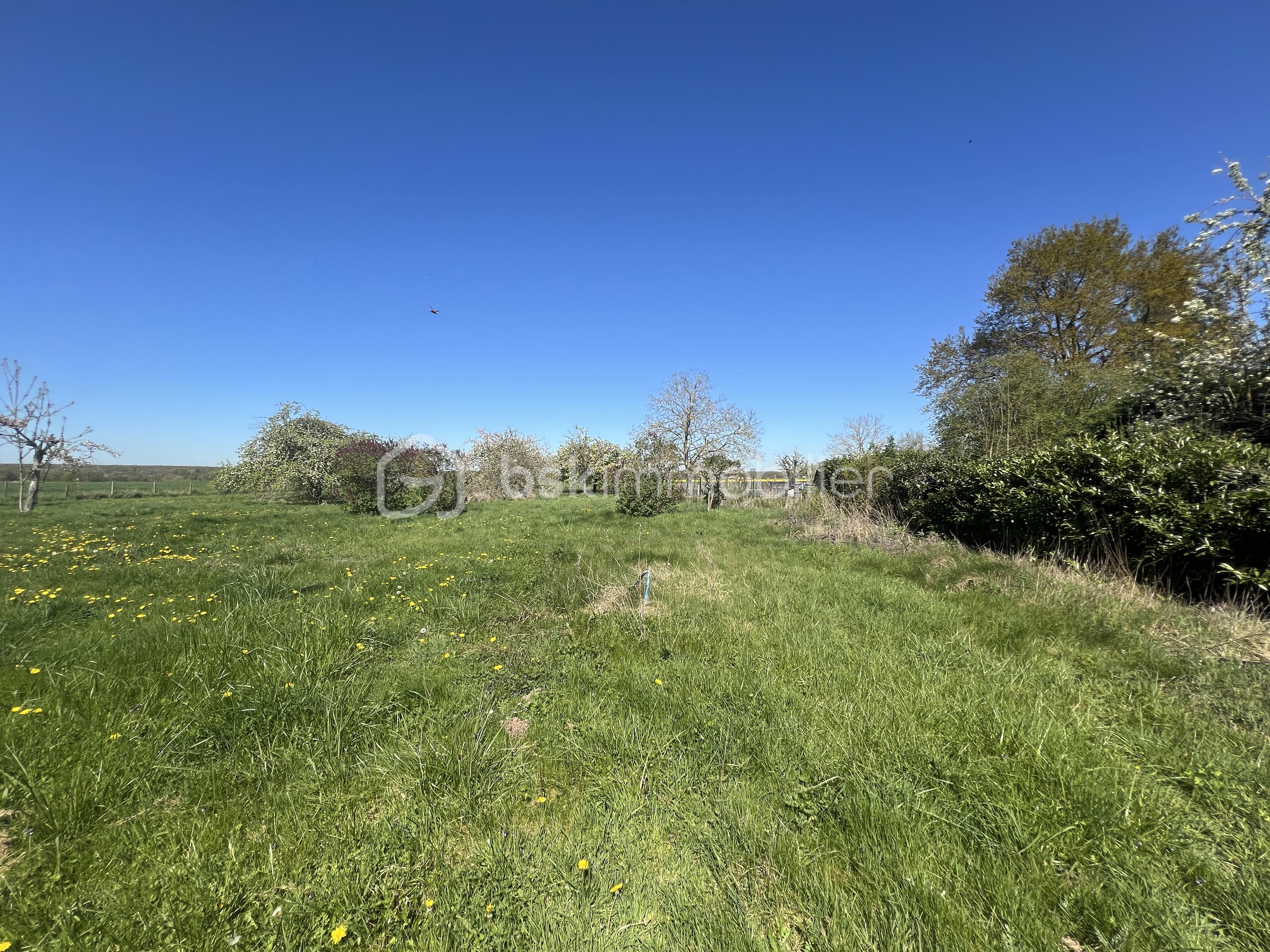 NICOLAS VAN DE WALLE BSKIMMOBILIER MAISON DE GILLES 14.JPG