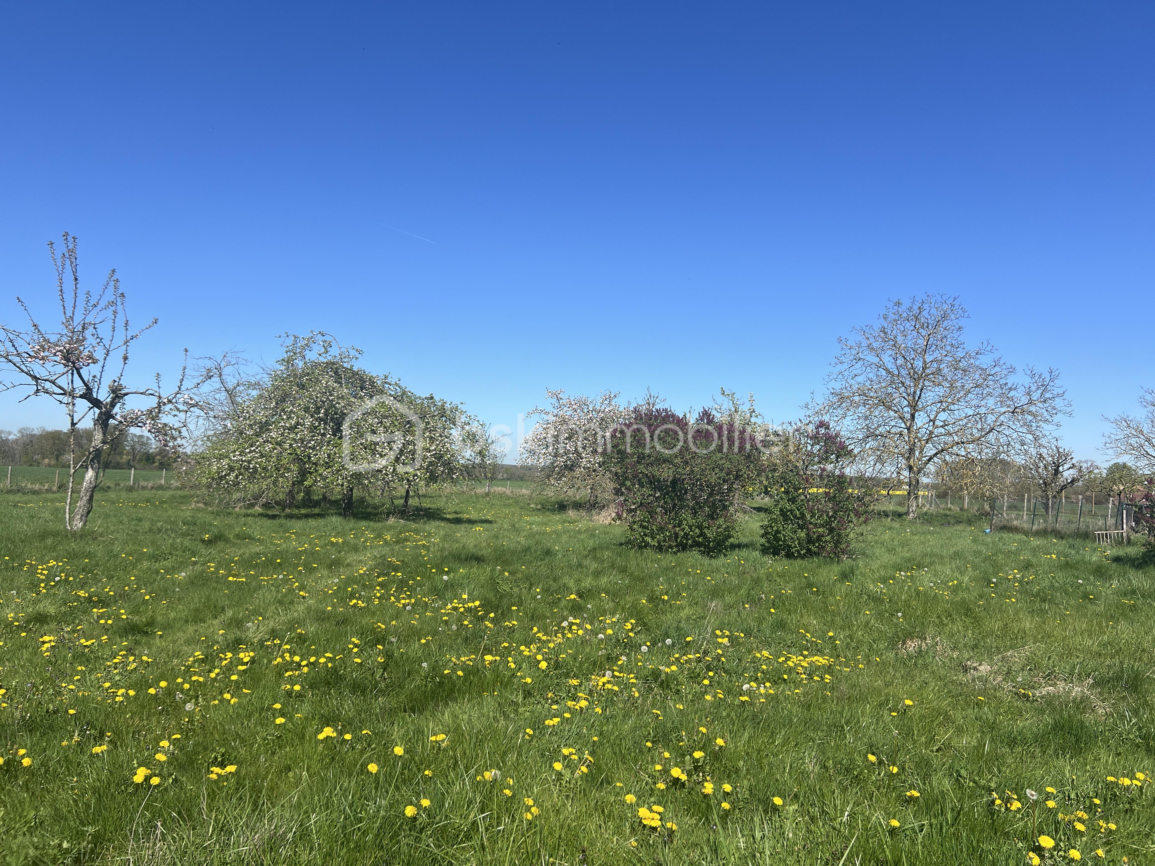 NICOLAS VAN DE WALLE BSKIMMOBILIER MAISON DE GILLES 13.JPG