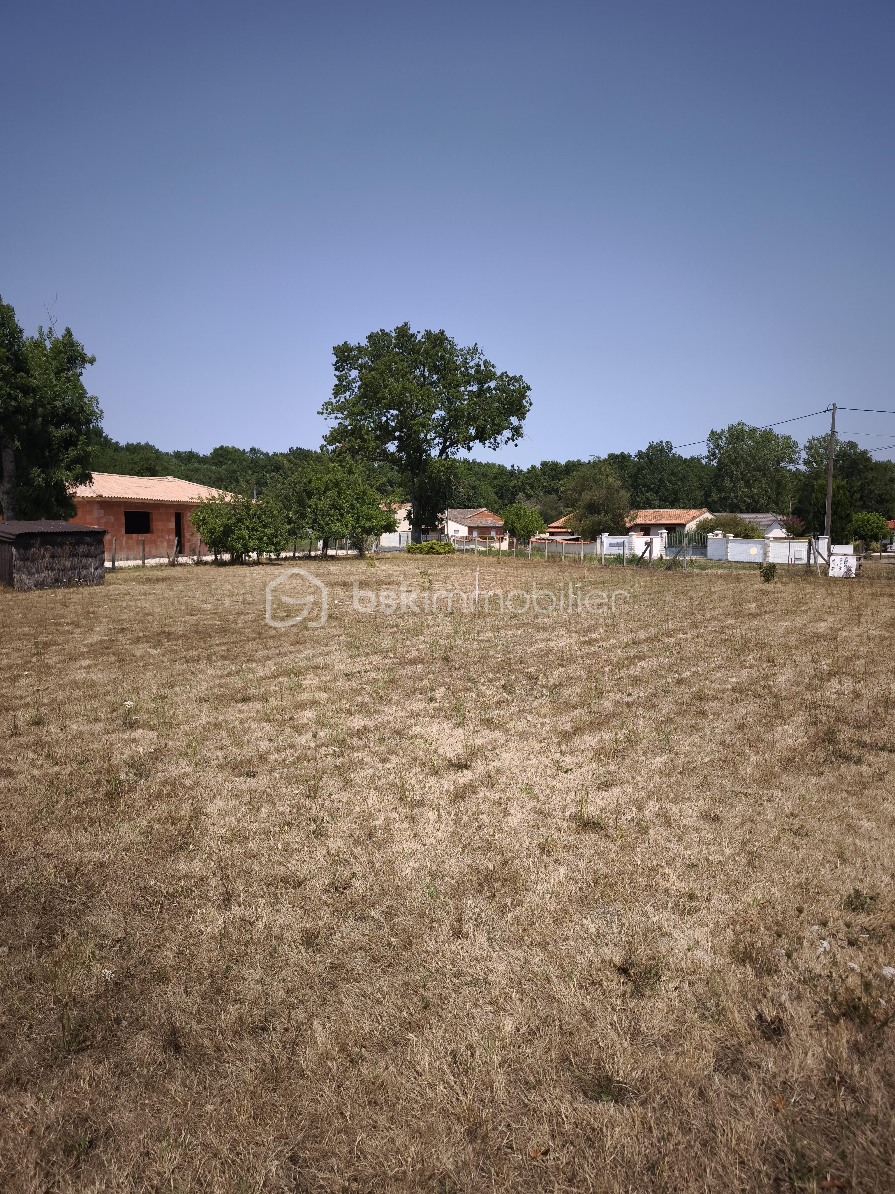 IMG_20260729_142045.jpg