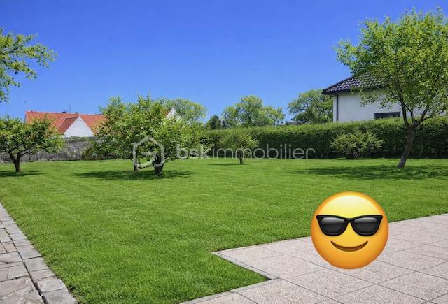 vincent jardin smiley terrasse.jpeg