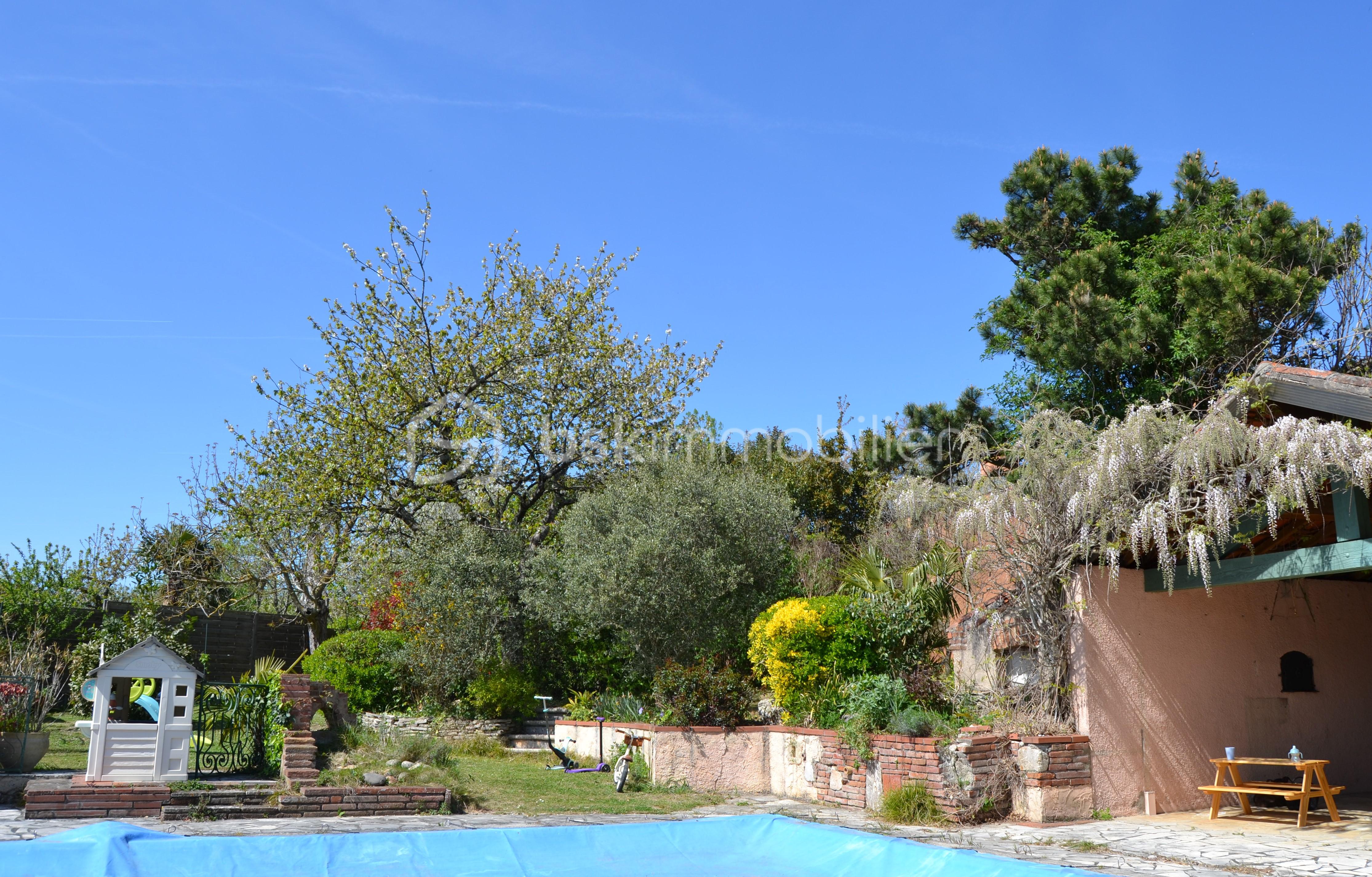 DSC_0126 copie.JPG