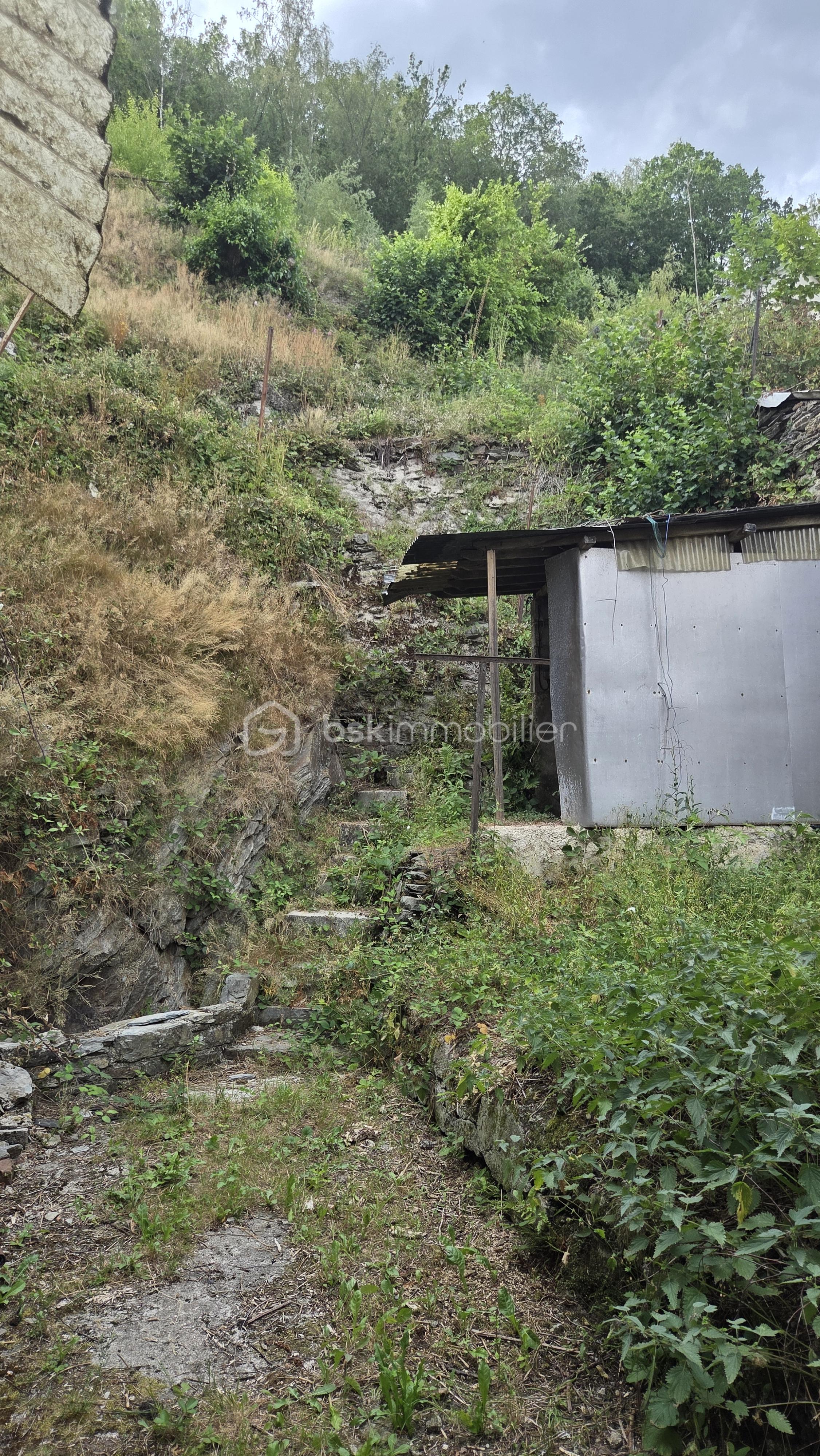 jardin.jpg