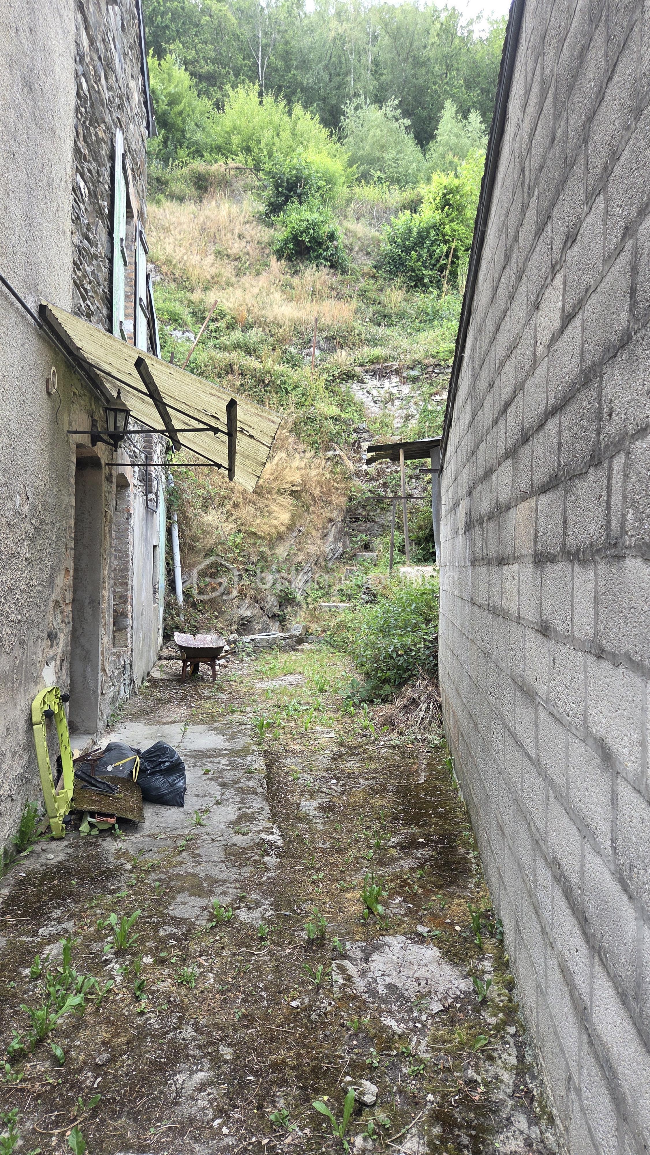 ruelle.jpg