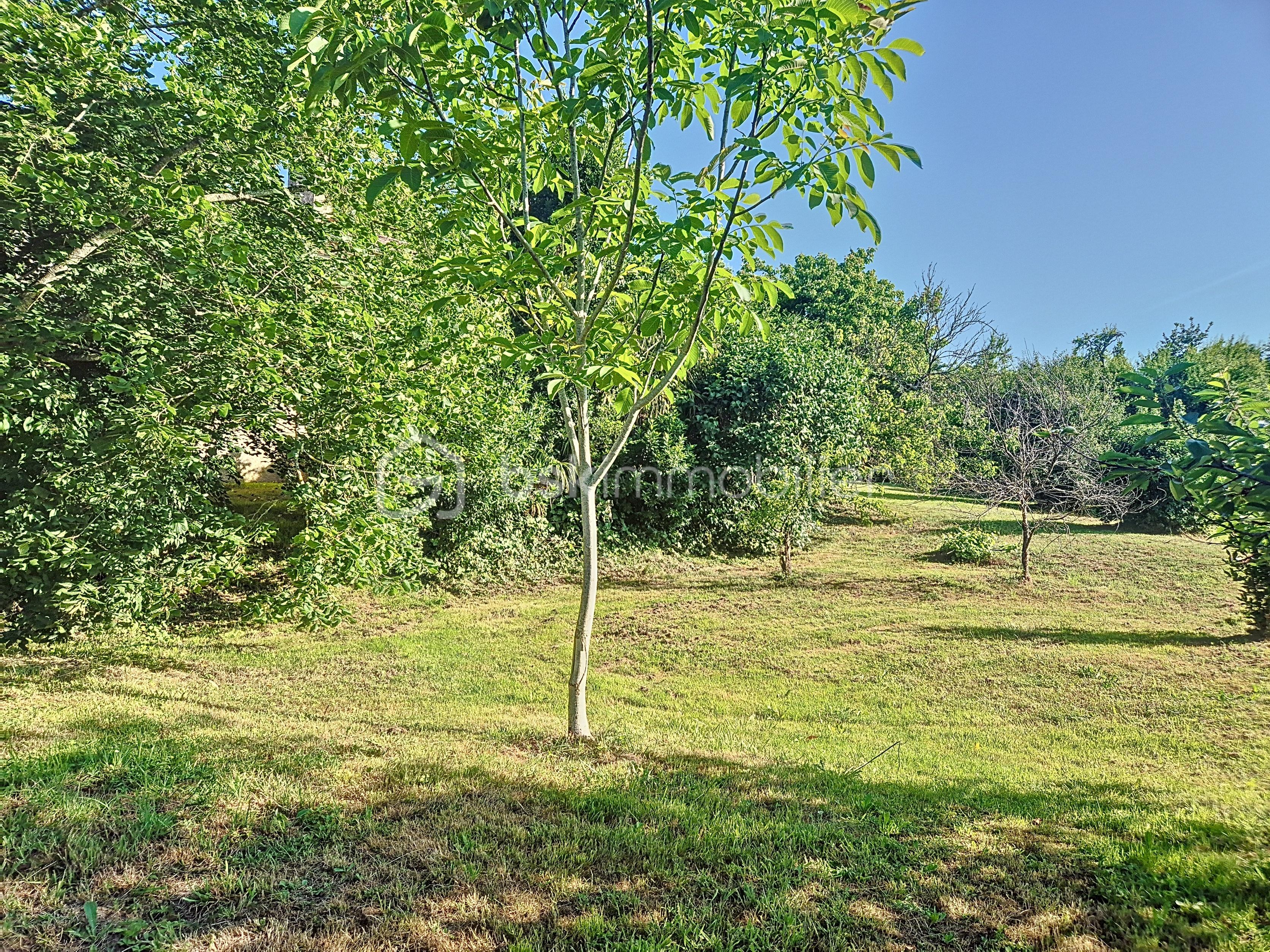 Maison de 280 m² - poupas-cadeot_00001 (5).jpg