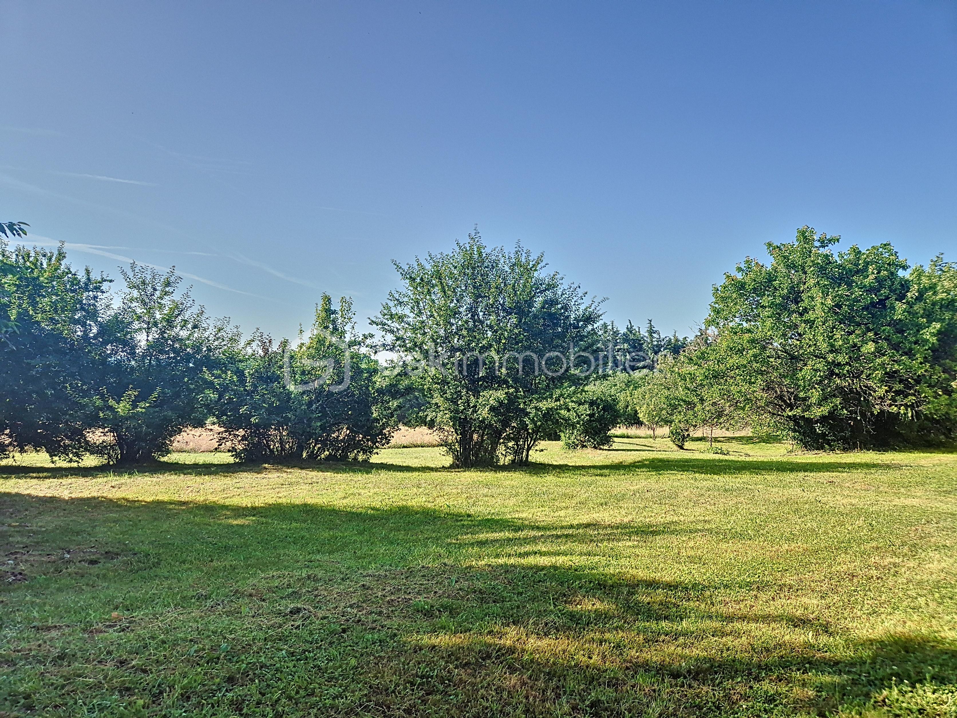 Maison de 280 m² - poupas-cadeot_00001 (3).jpg