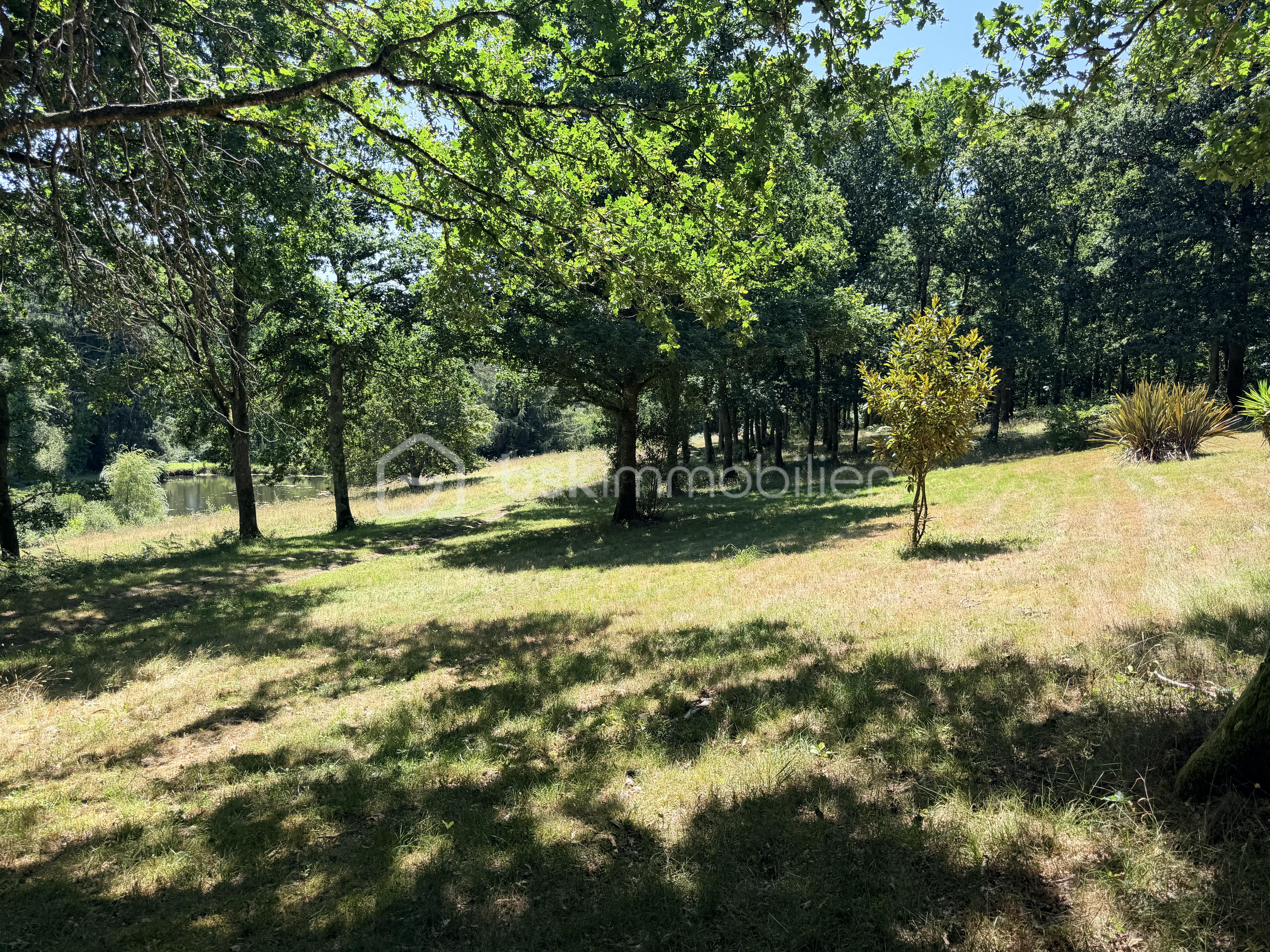 IMG_2618.jpeg