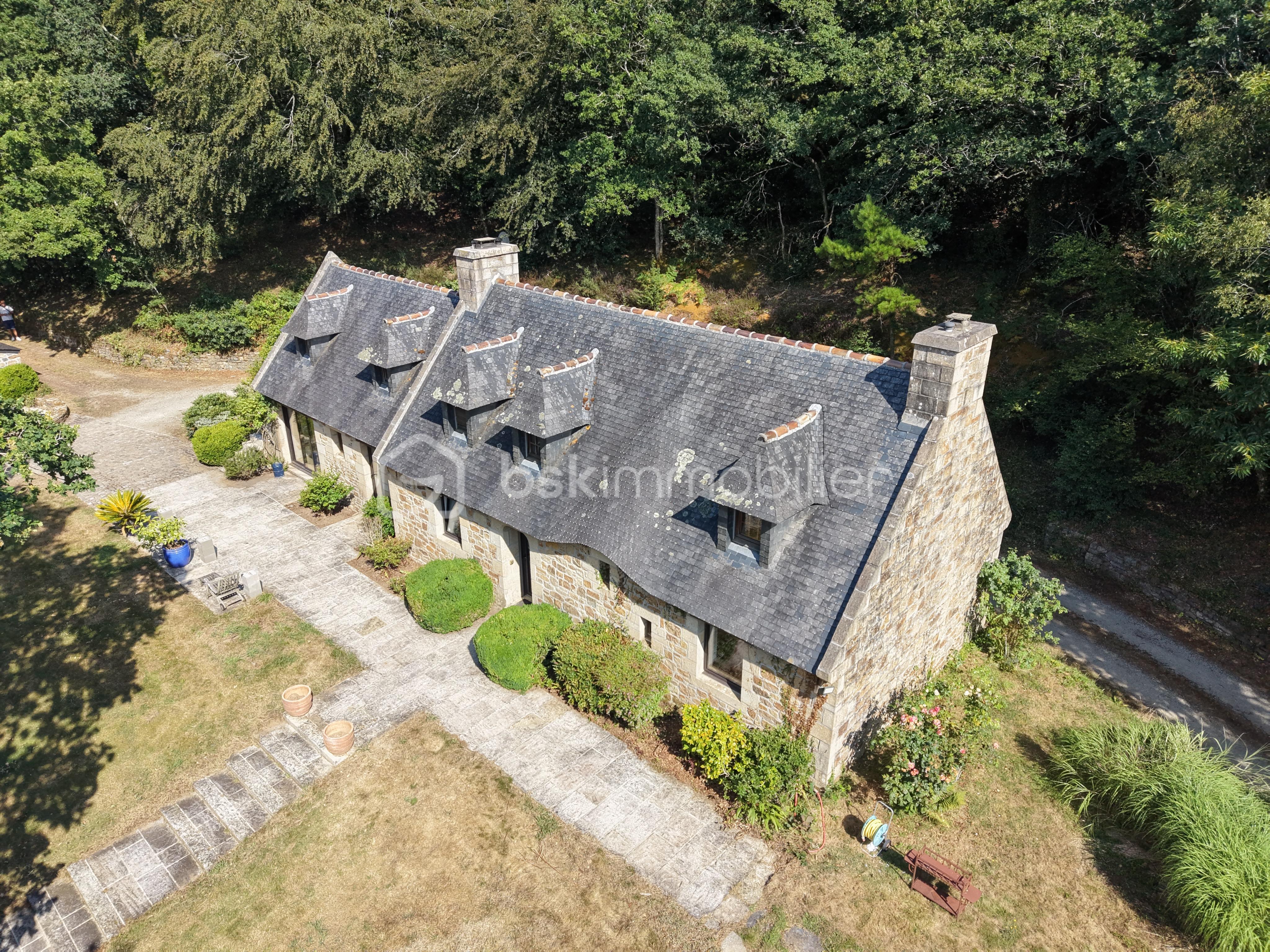 dji_fly_20260722_110926_0003_1784753645503_photo.jpeg