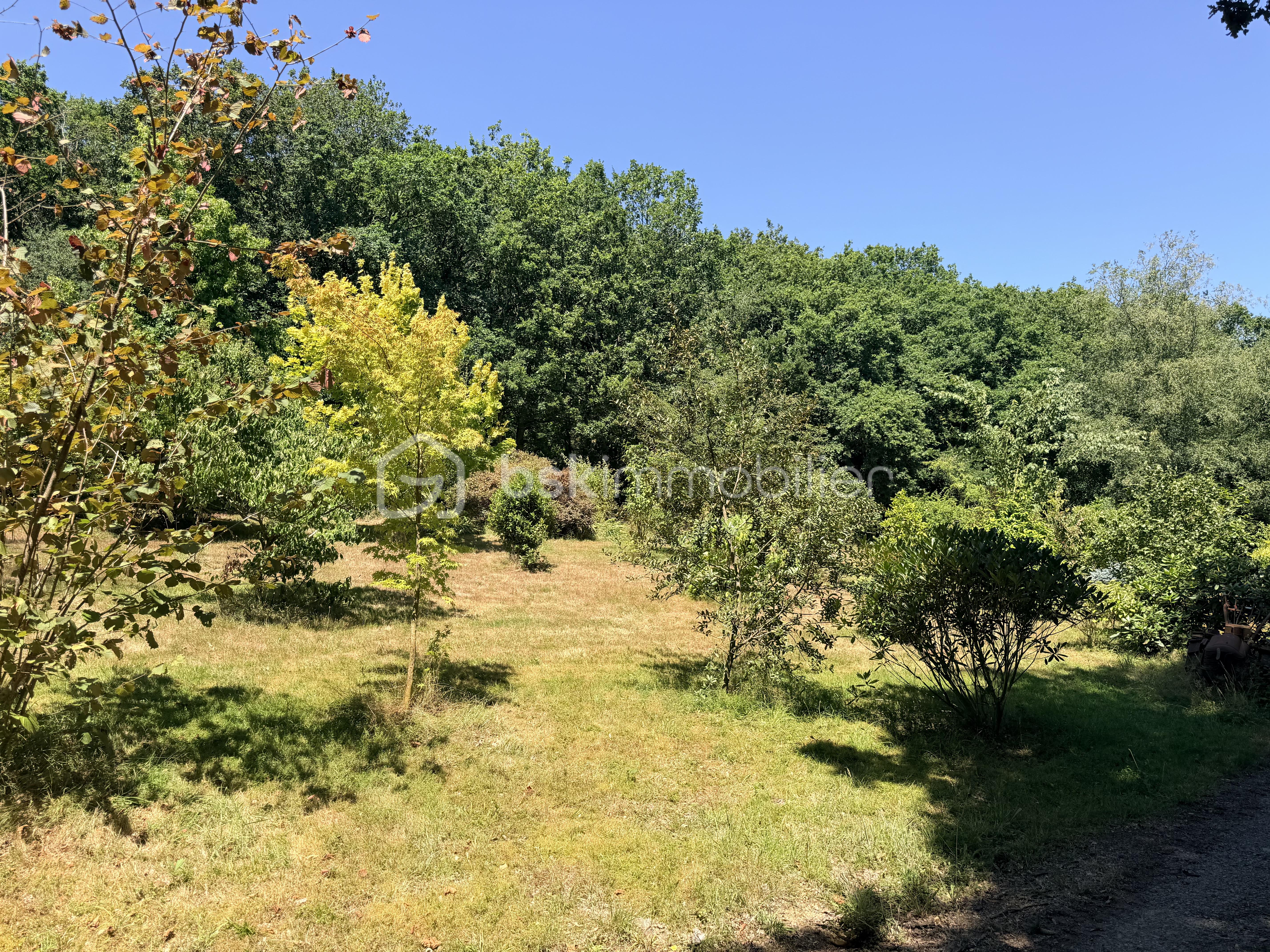 IMG_2620.jpeg