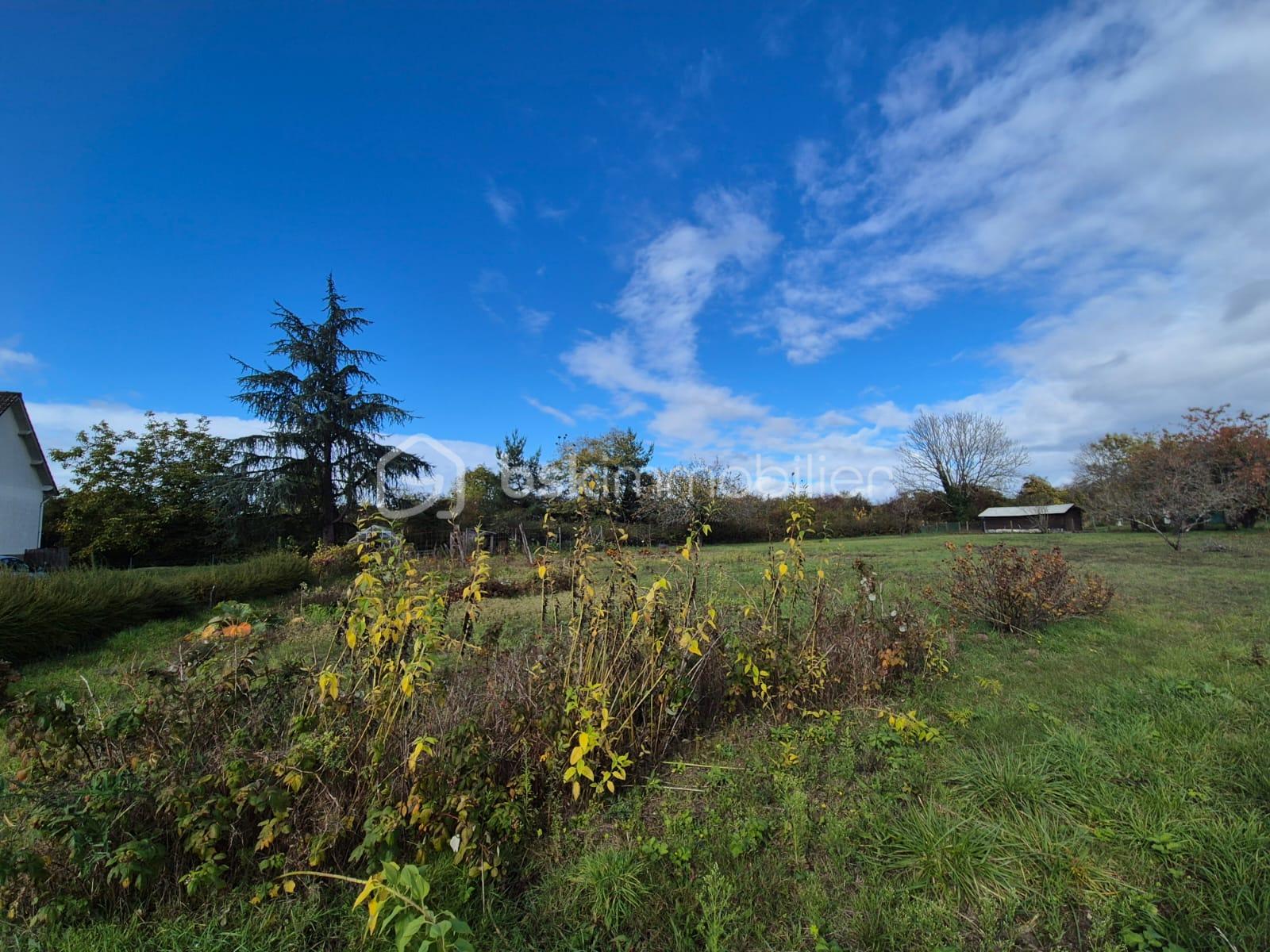 Terrain de 842 m² - WhatsApp Image 2025-10-21 à 20.50.44_7c831979.jpg