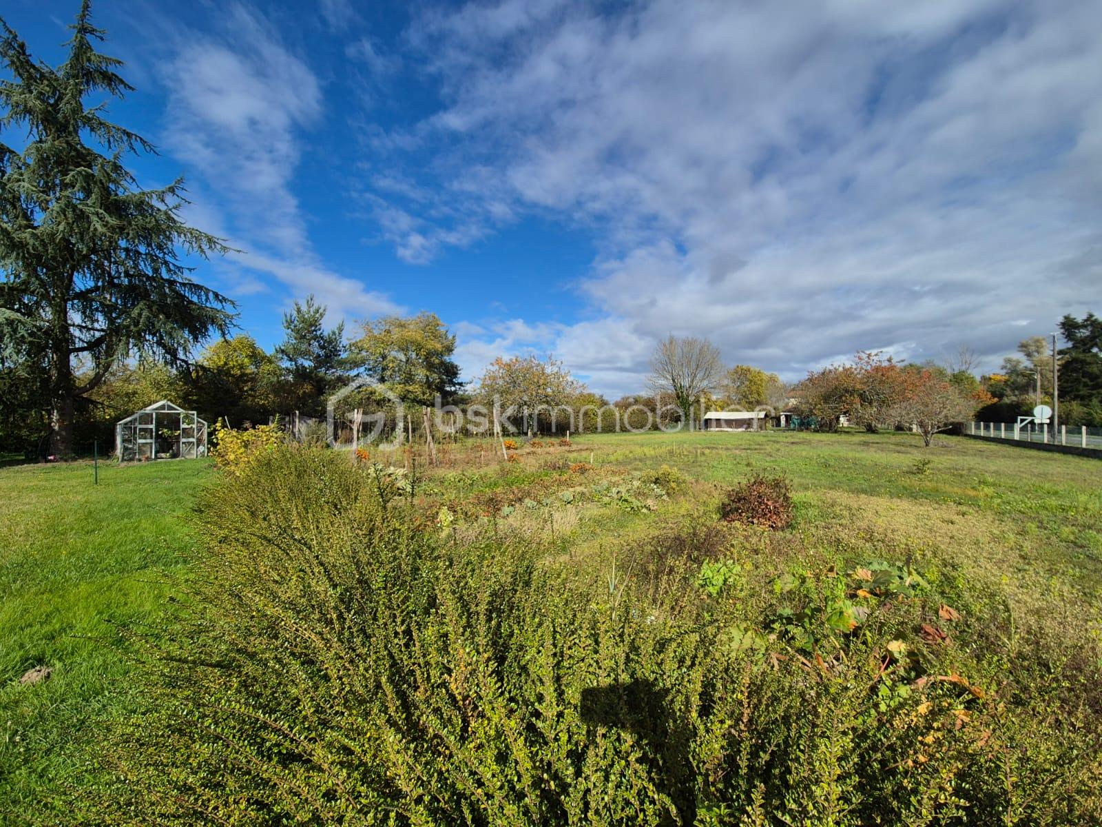 Terrain de 842 m² - WhatsApp Image 2025-10-21 à 20.50.44_51fec47d.jpg