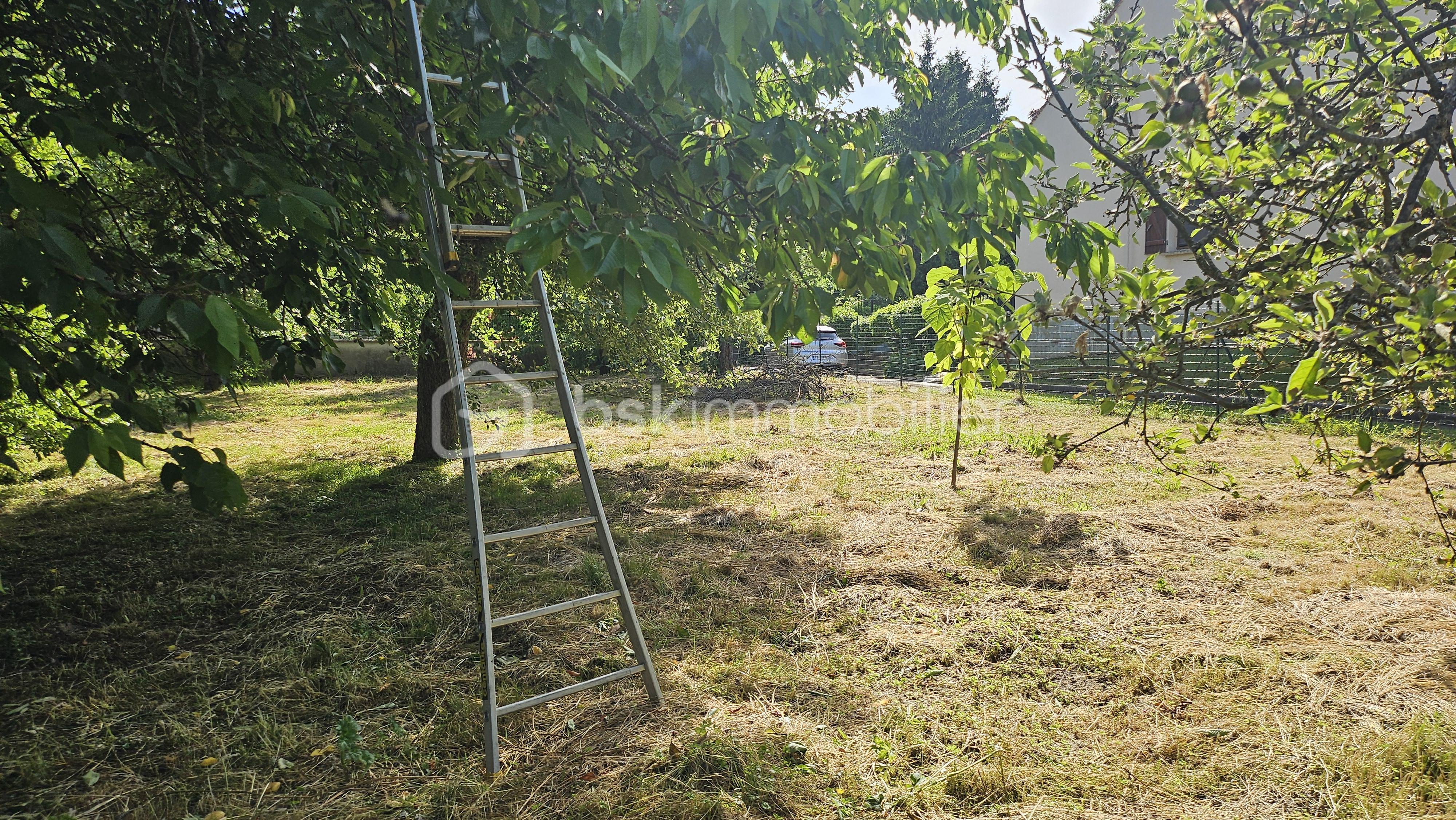 Lotissement de 951 m² - 20250529_095449.jpg