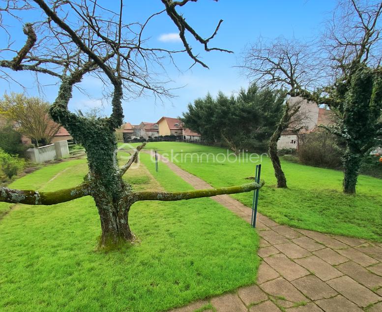 Maison de 146 m² - Jardin.png