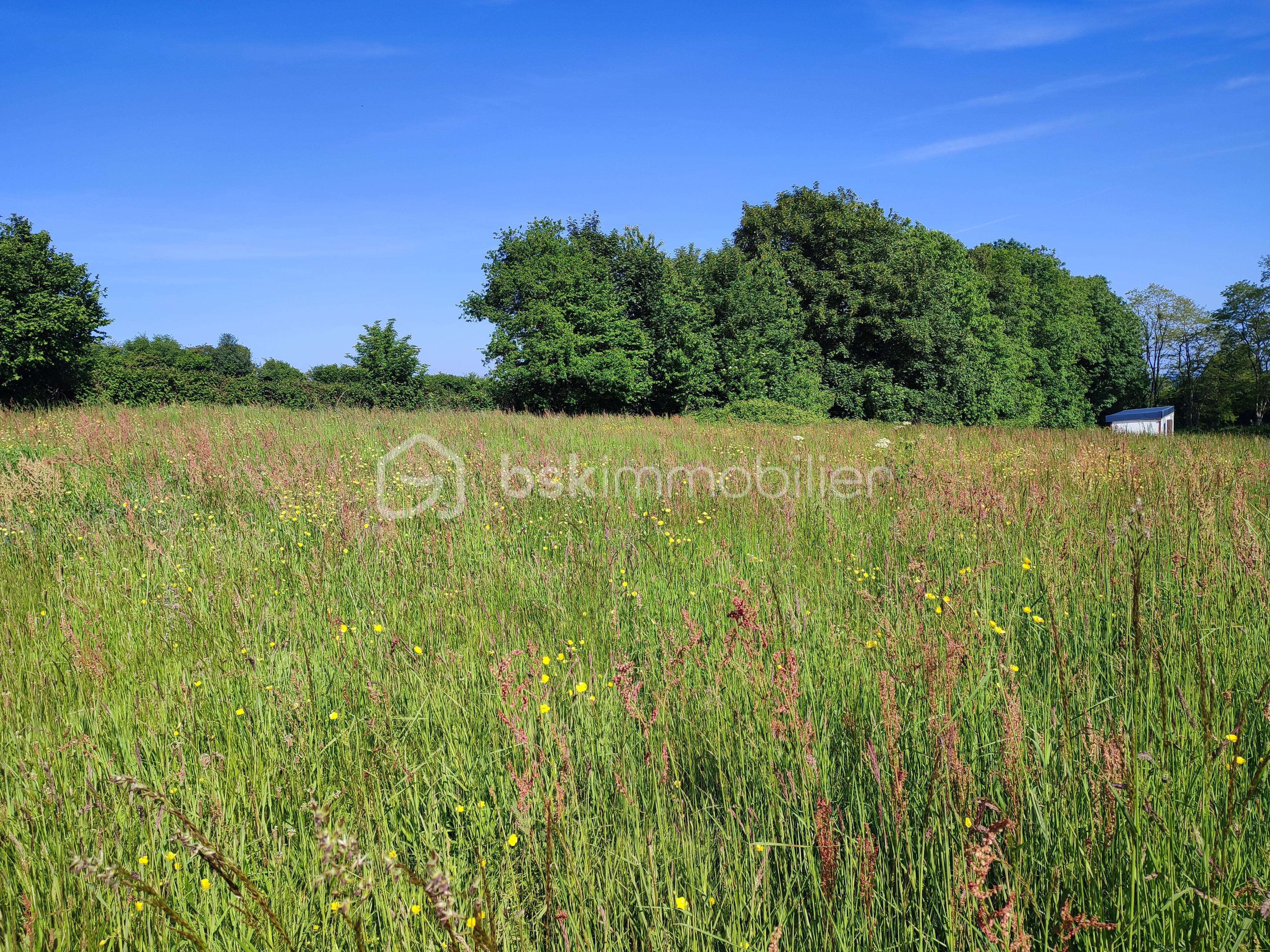 Terrain de 1 226 m²