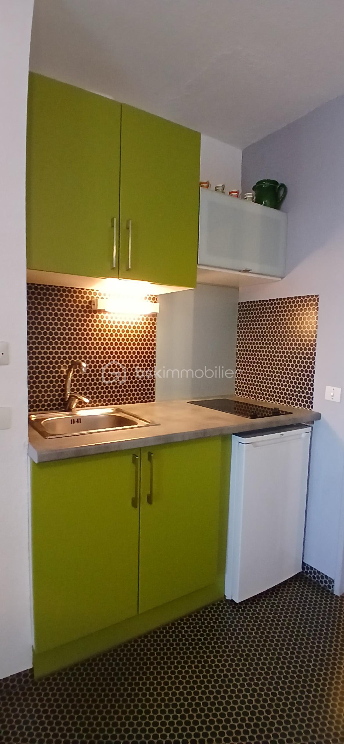 Appartement de 29,50 m² - 20251120_152052.jpg