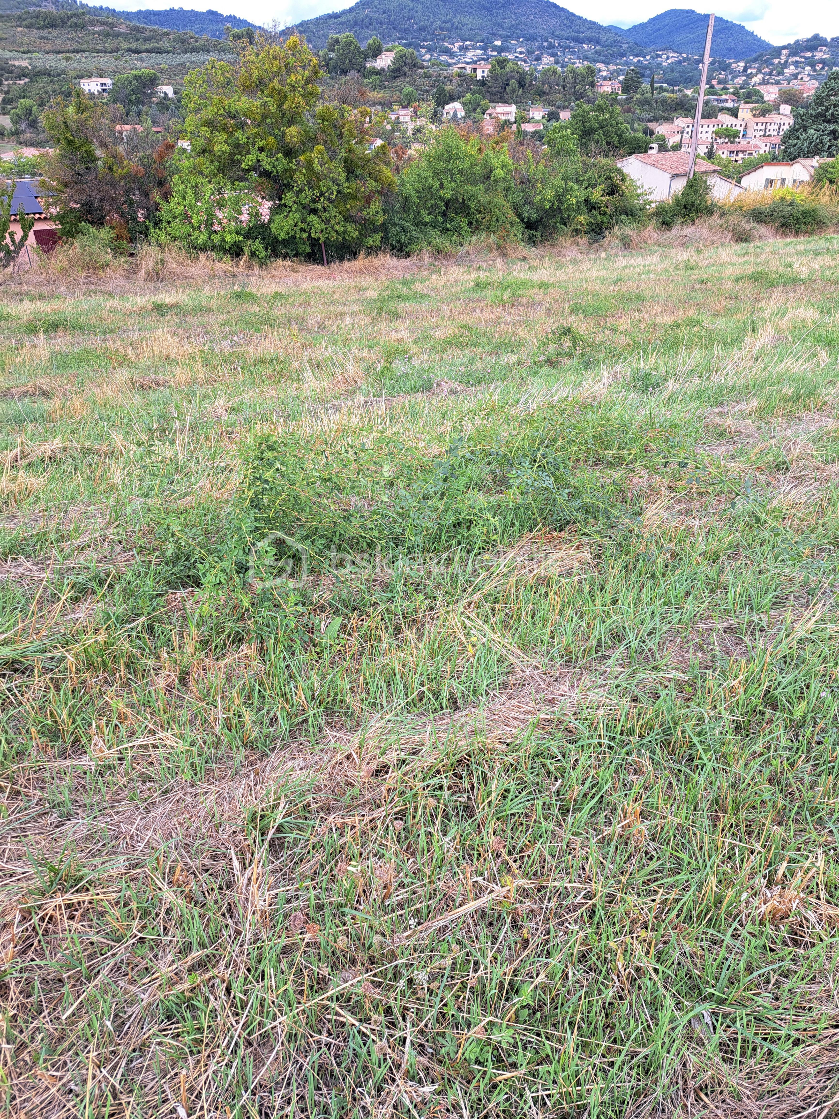 Lotissement de 299,96 m² - 1000034152.jpg