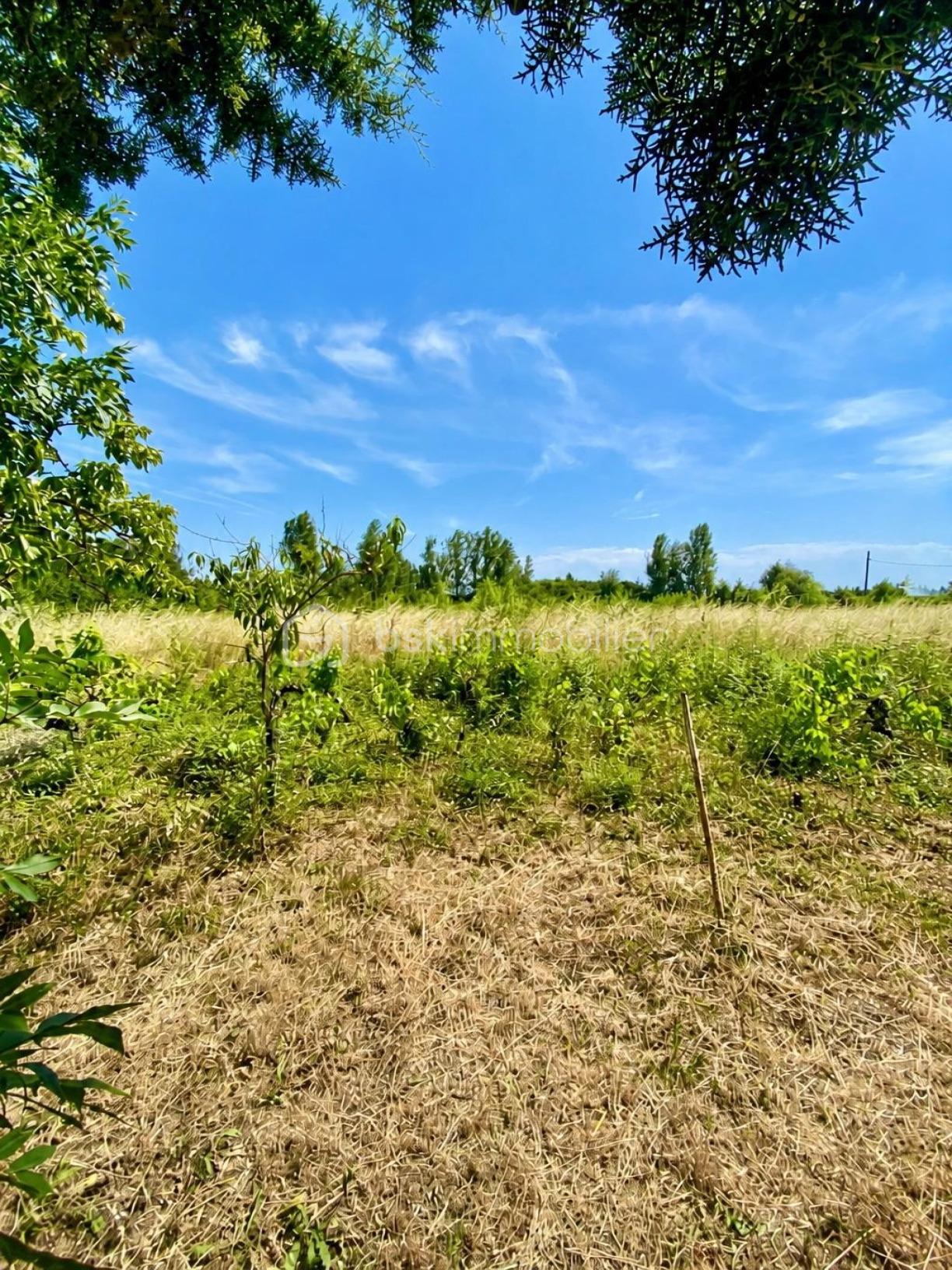 08- VUE TERRAIN.jpg