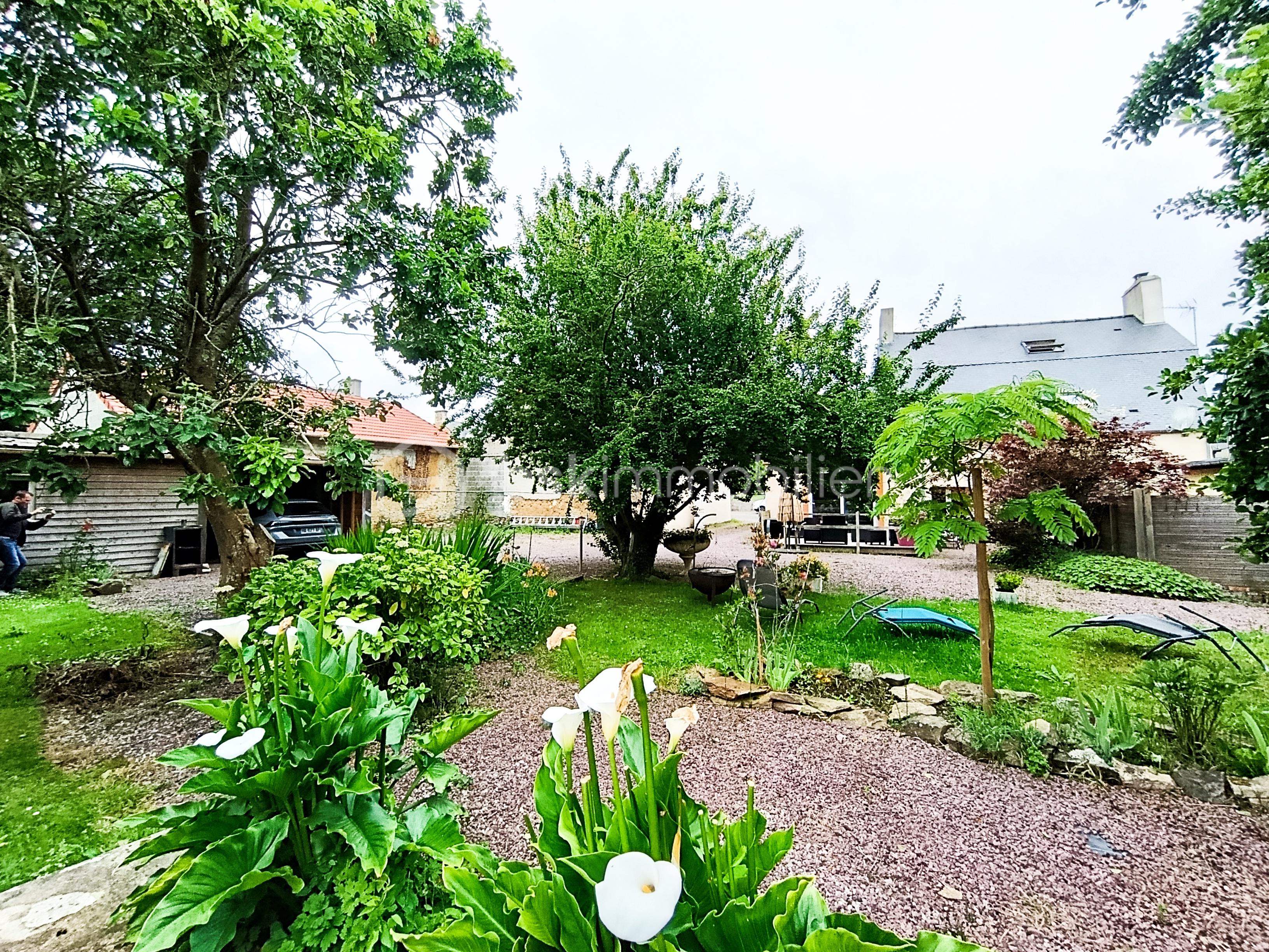 1000019118.jpg